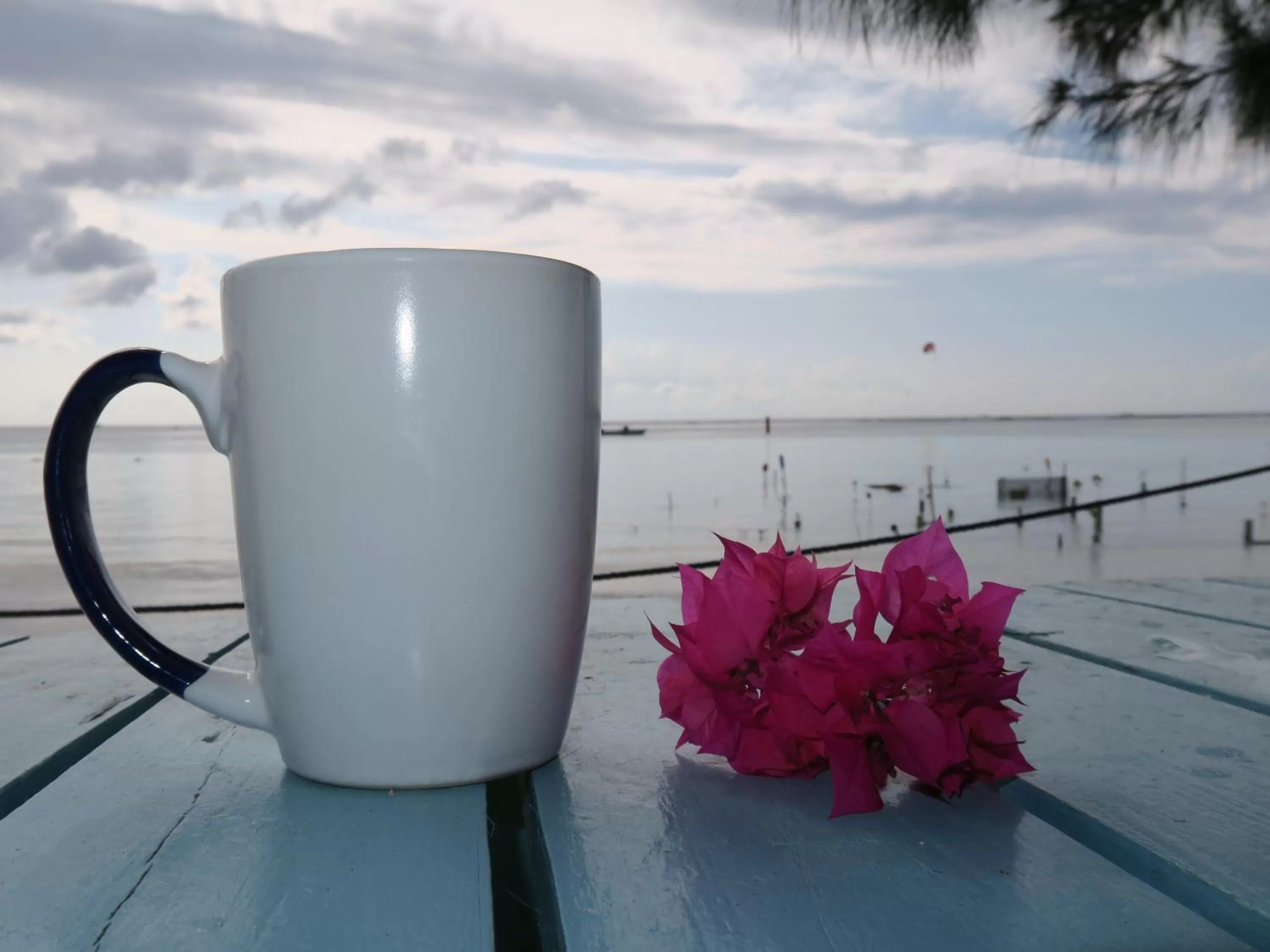 Beach in Hotel Club Rolling Stone