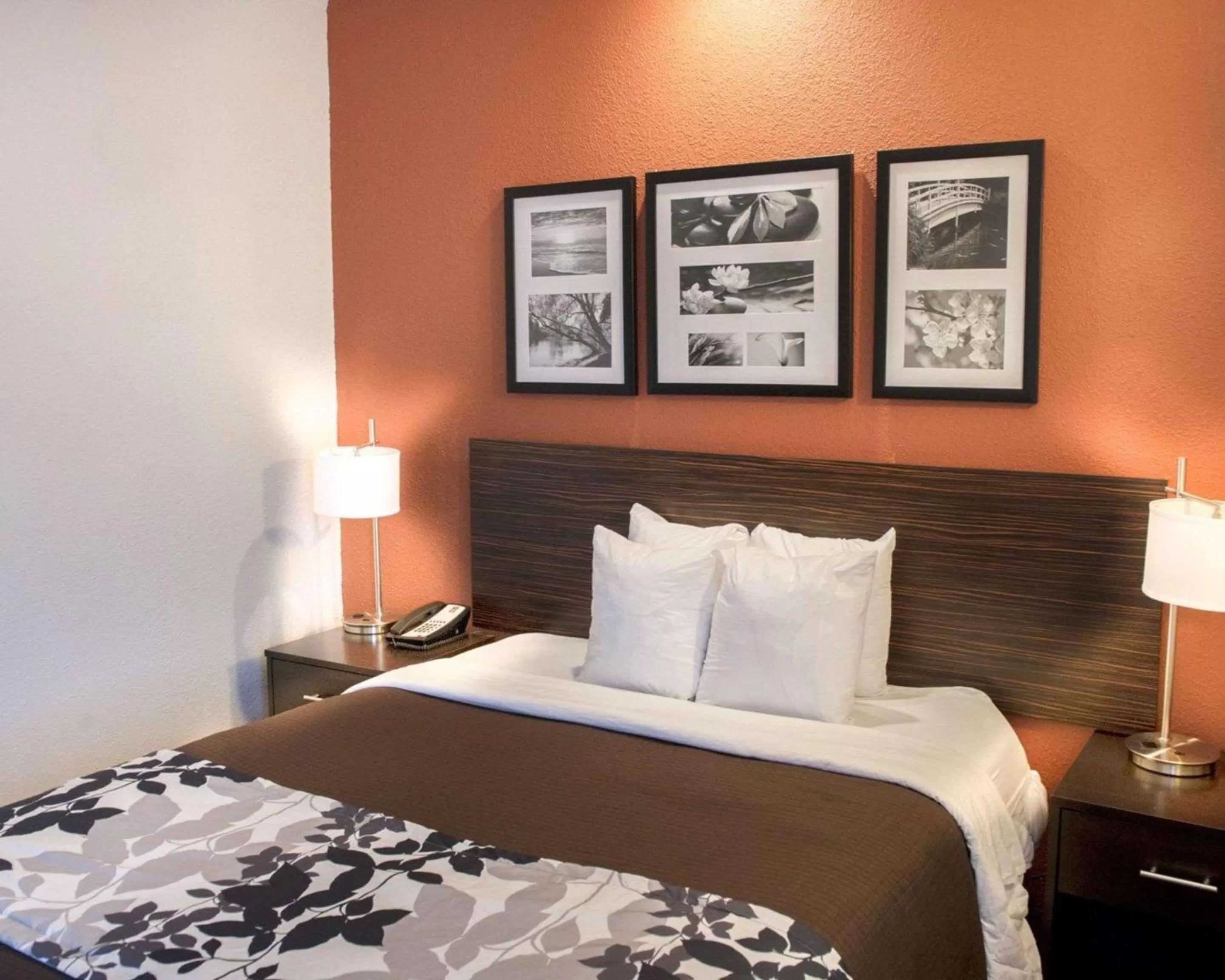 Photo of the whole room, Bed in Sleep Inn O'Fallon near I-64