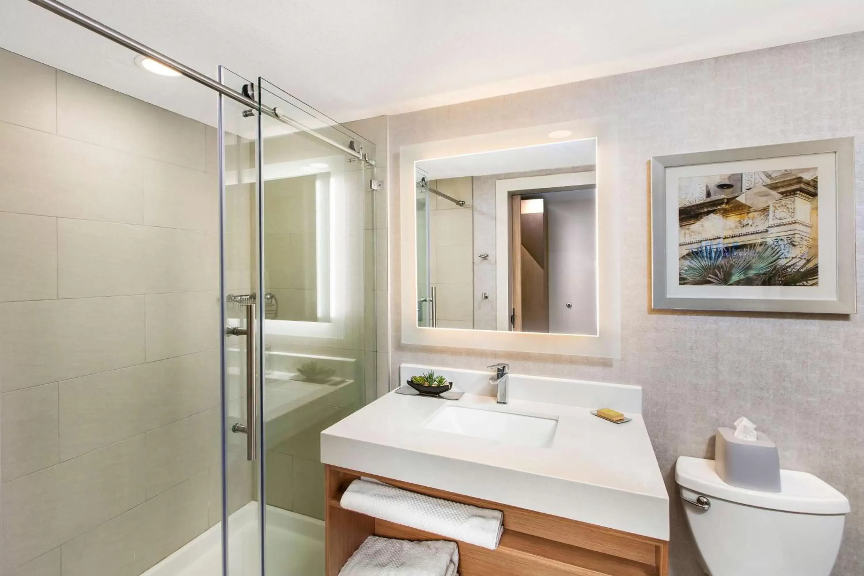 Bathroom in DoubleTree by Hilton San Antonio Northwest - La Cantera