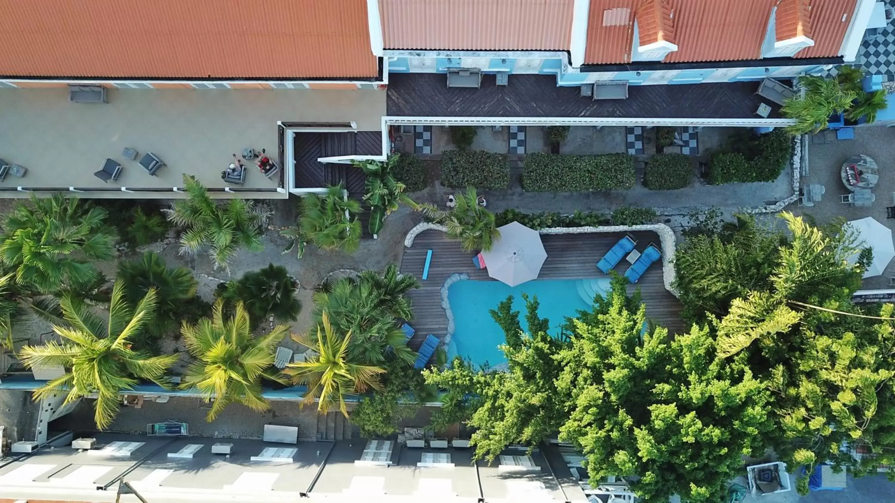 Swimming pool, Pool View in Scuba Lodge & Suites