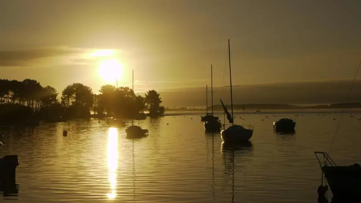 Natural landscape in Un Matin D’été