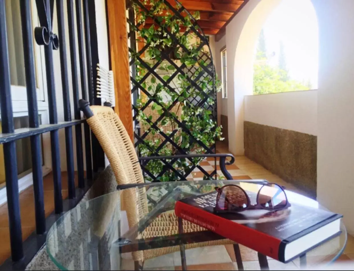 Balcony/Terrace in Hotel Alcadima