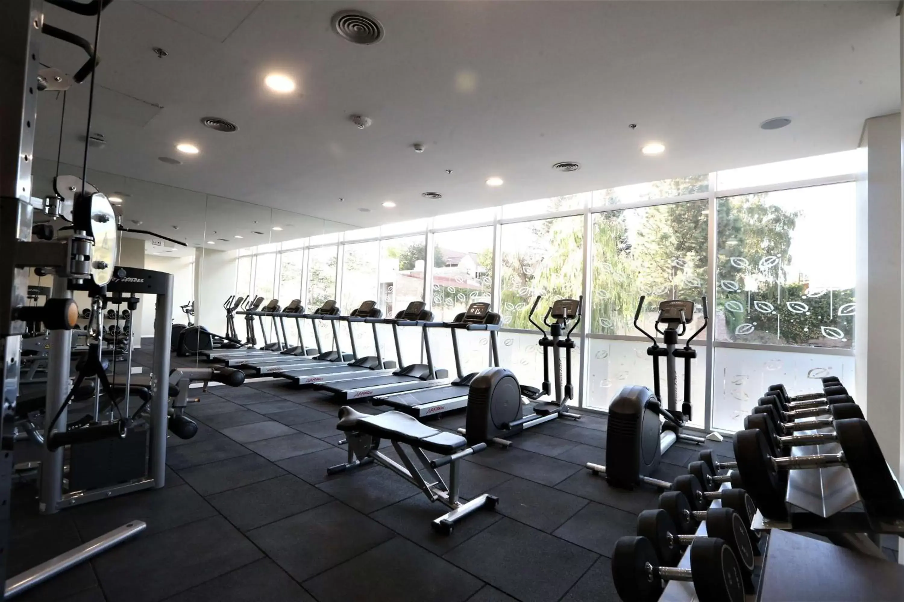 Fitness centre/facilities, Fitness Center/Facilities in Hilton Garden Inn Neuquen