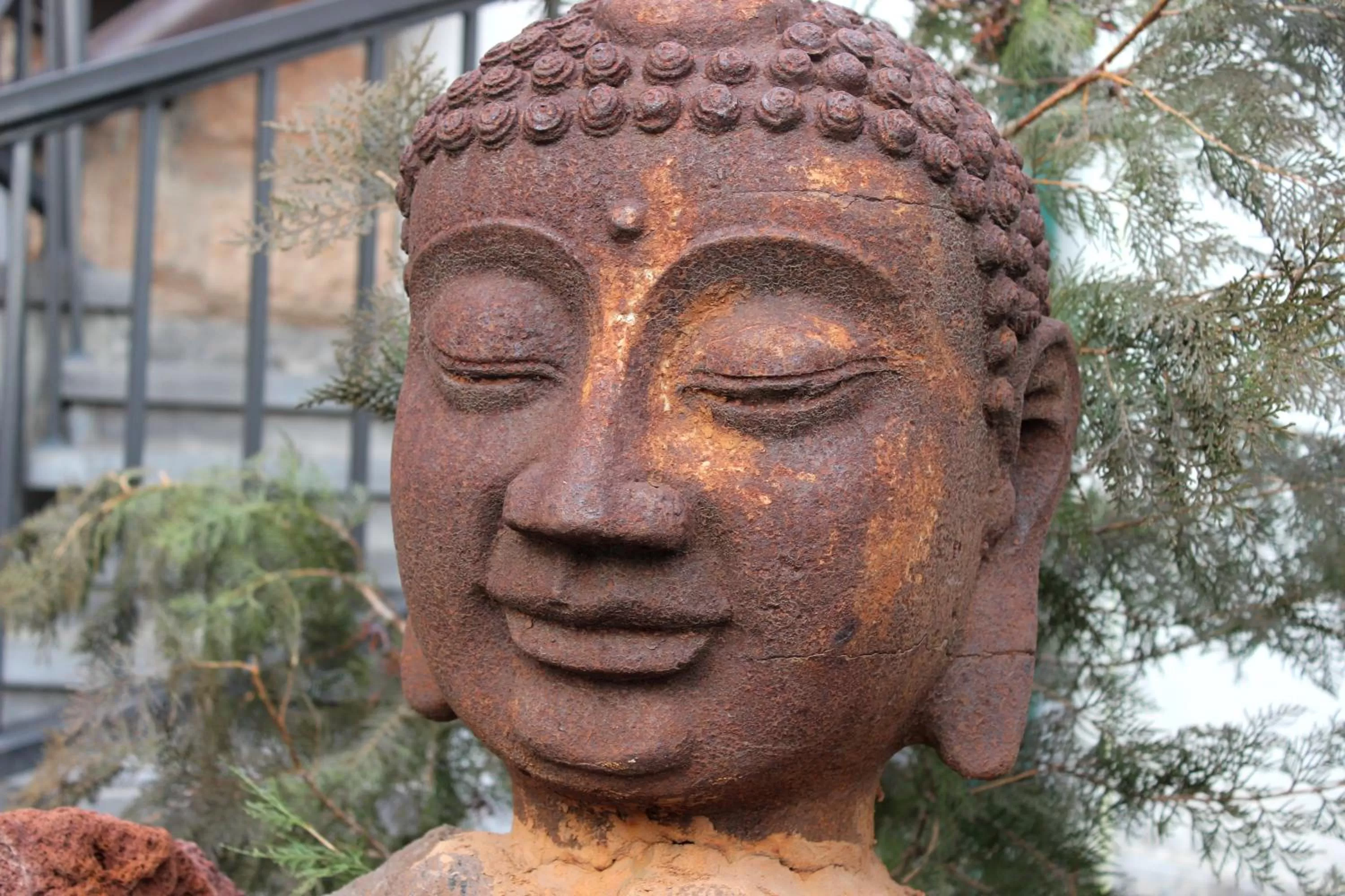 Garden in Silk Road Hotel