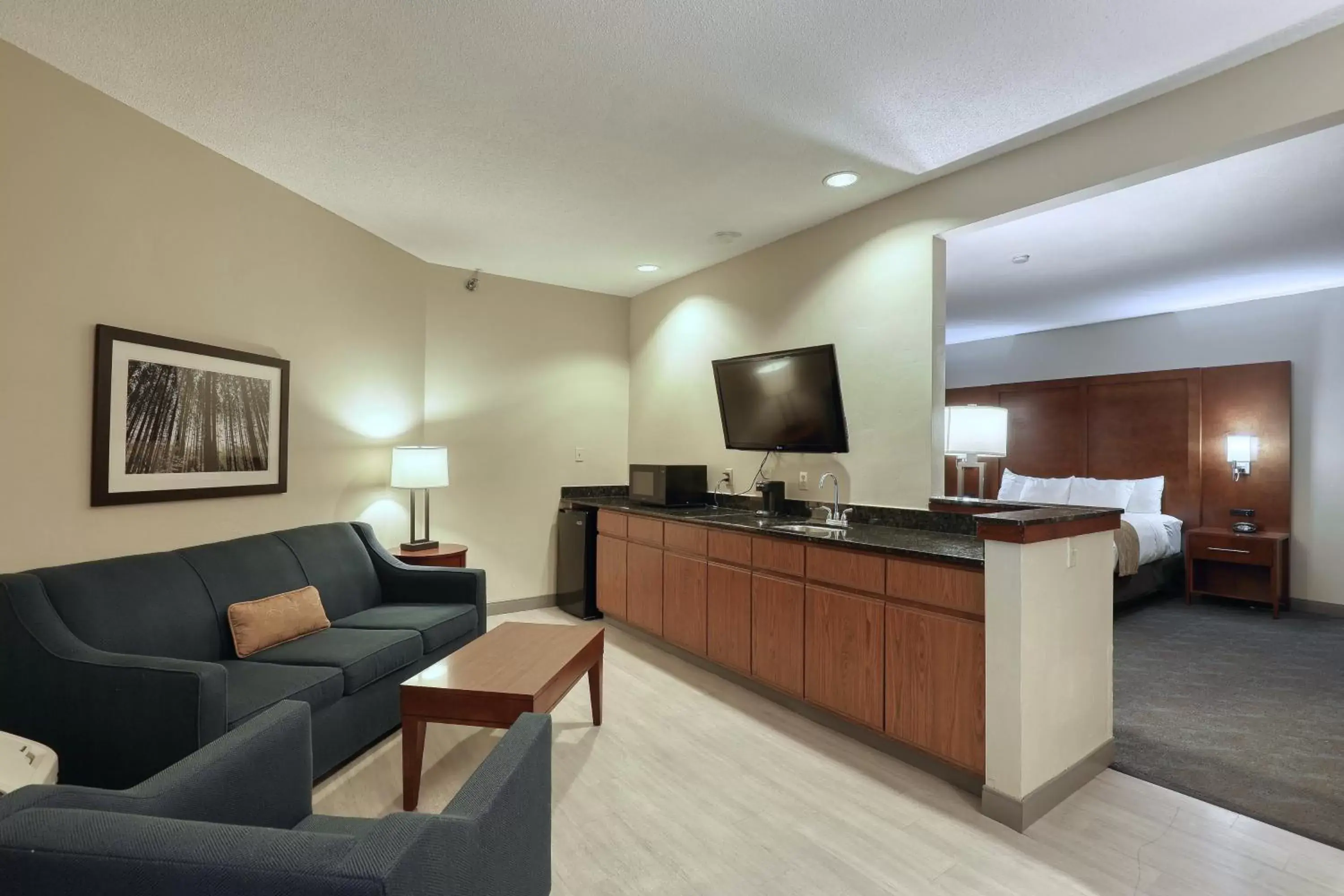 TV/Entertainment Center in Comfort Suites Appleton Airport