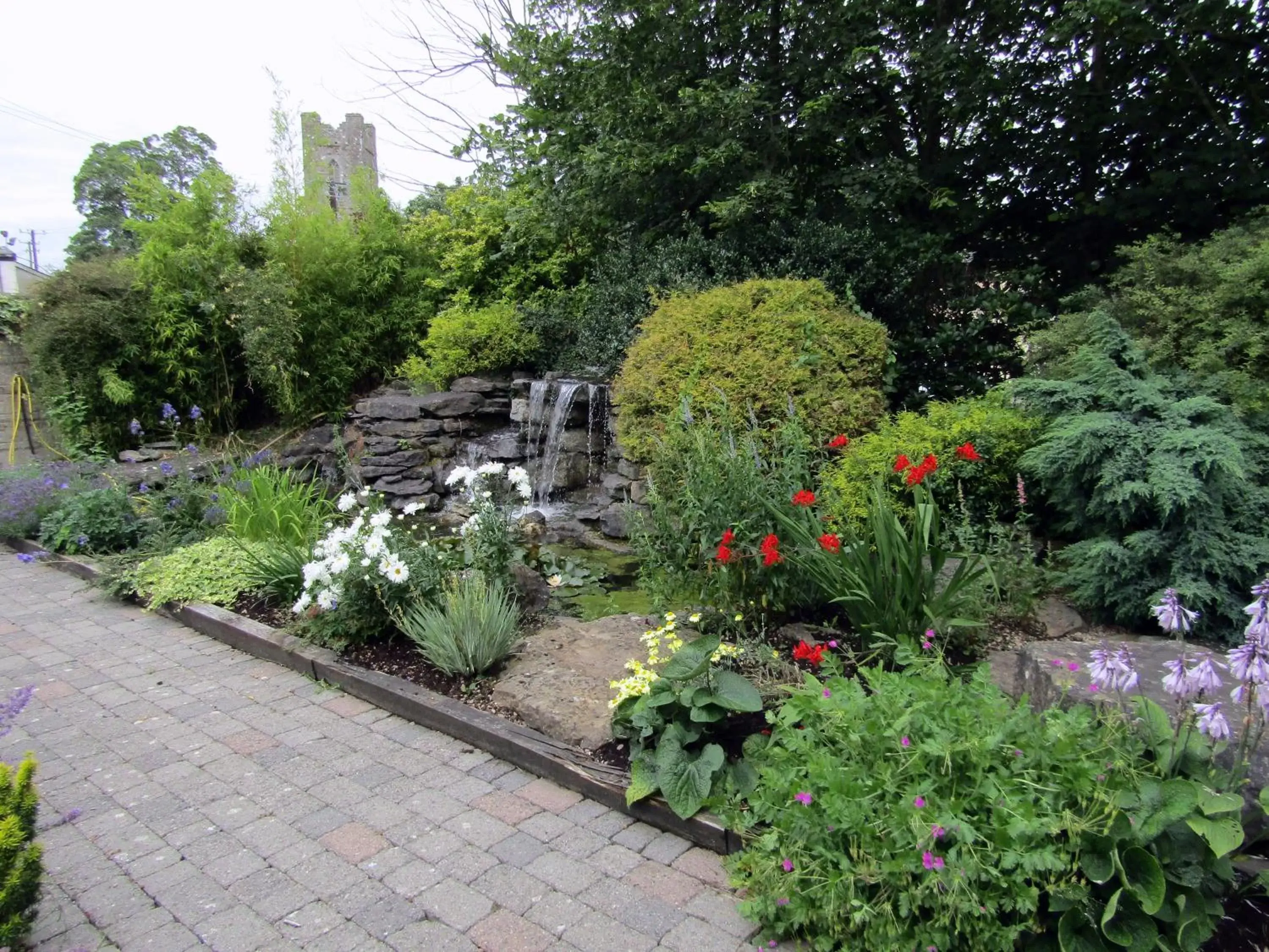 Garden in Darnley Lodge Hotel