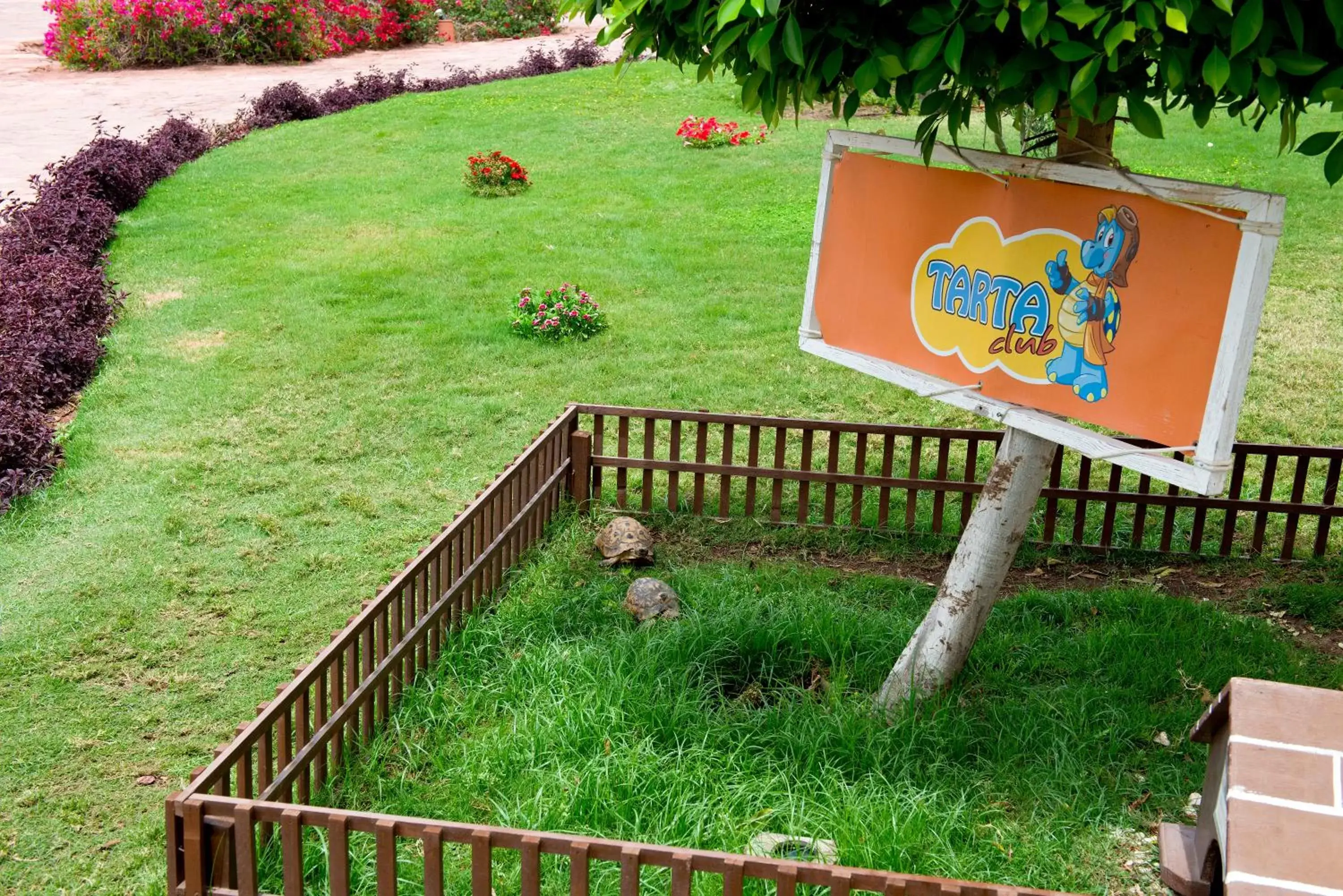 Children play ground in Amphoras Blu