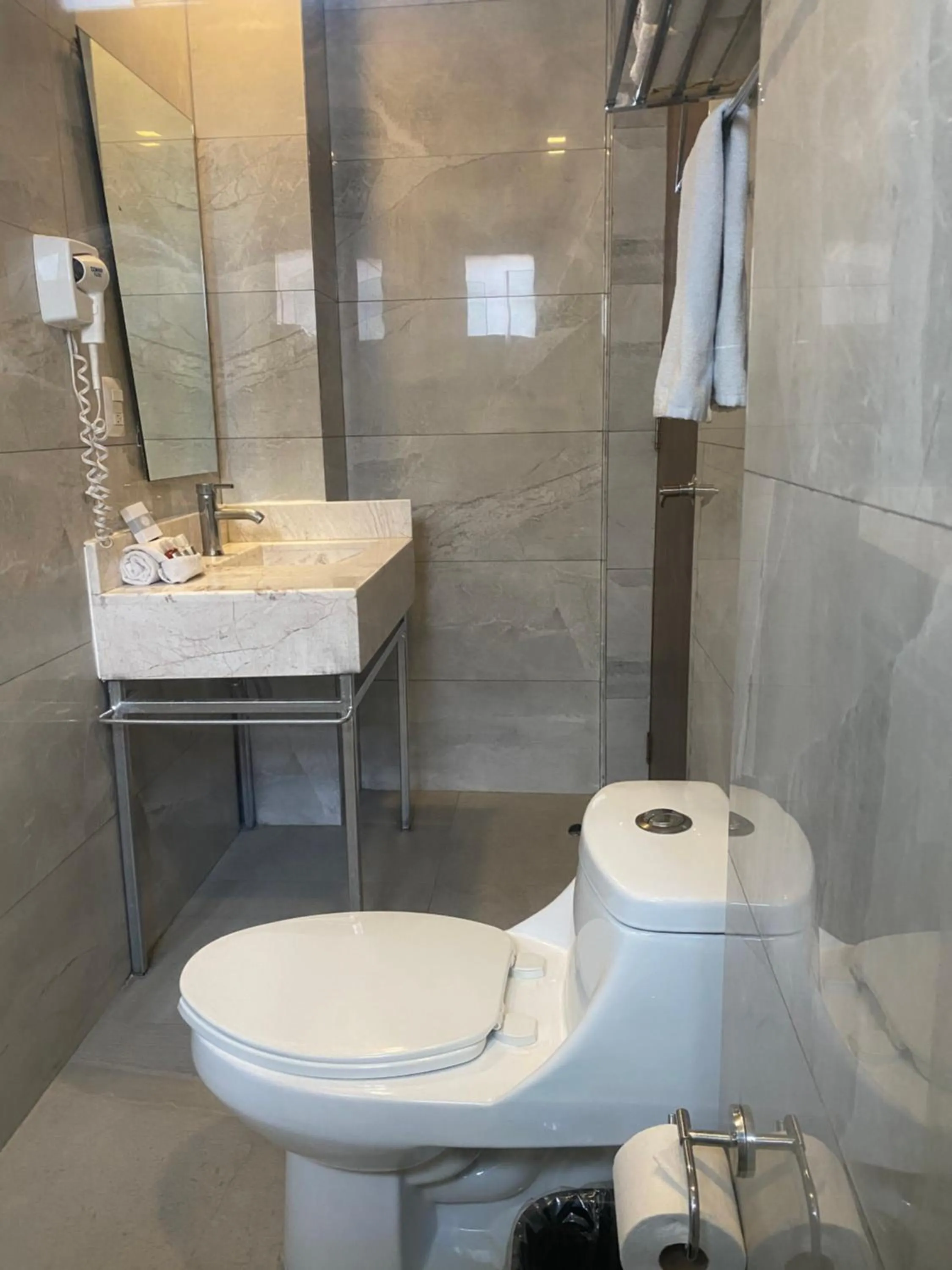 Toilet in Suites Lerma 205