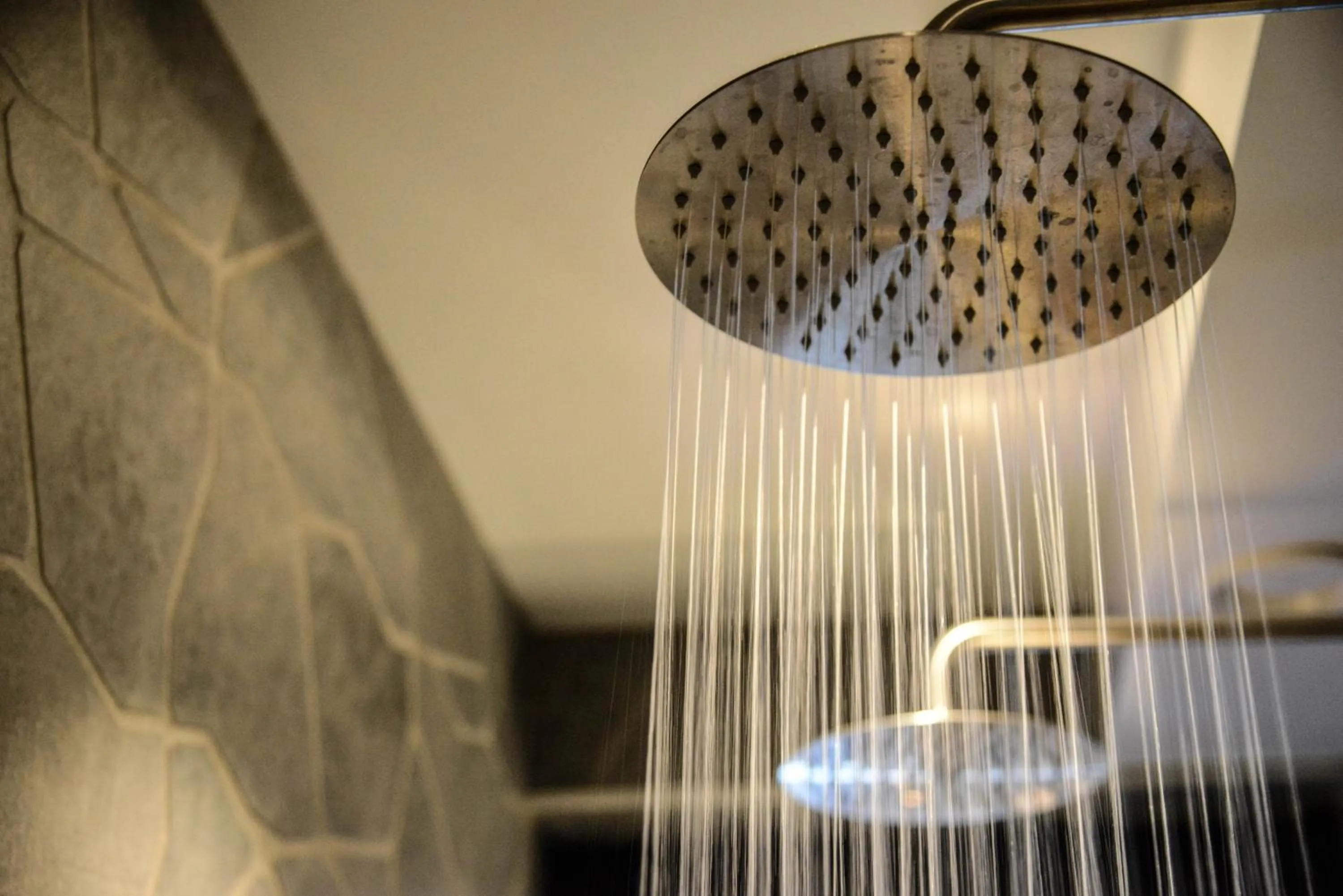 Shower in Hotel Continental Relax & Spa