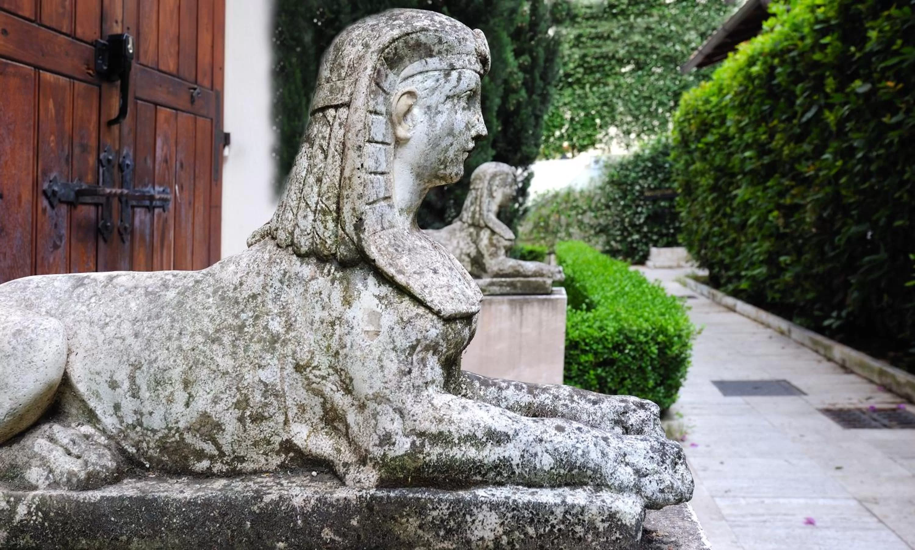 Garden in Best Western Ars Hotel