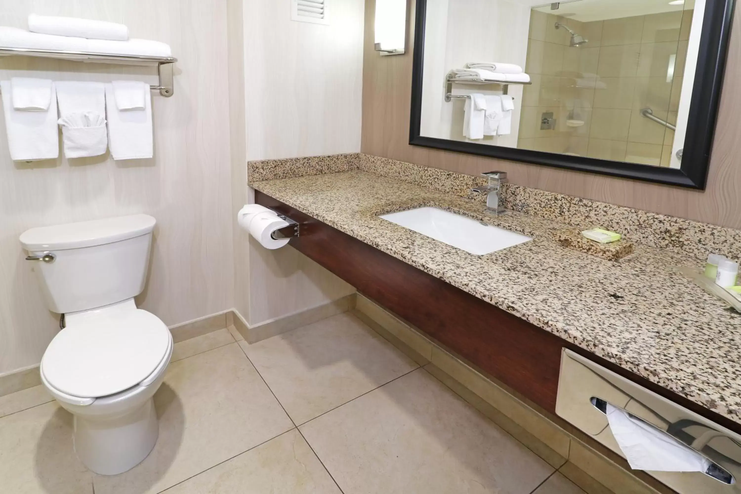 Bathroom in Holiday Inn Hotel & Suites Hermosillo Aeropuerto, an IHG Hotel