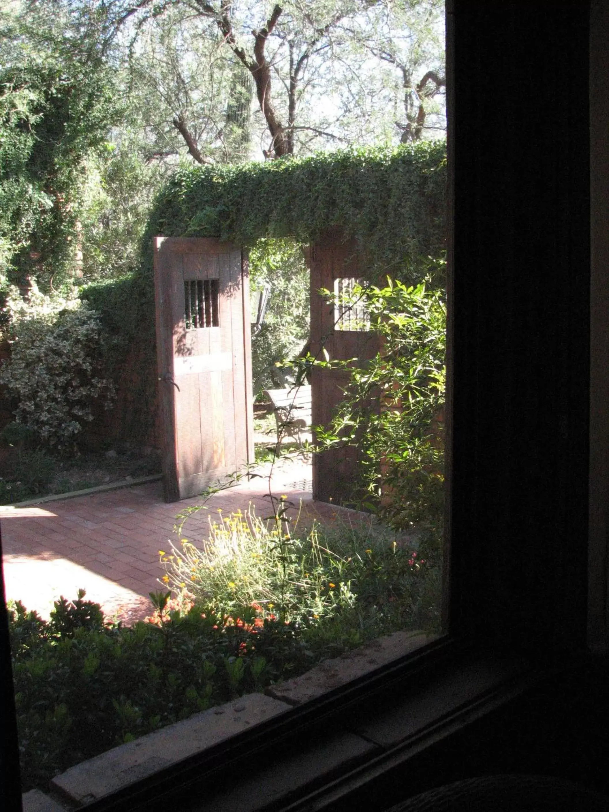 Garden view in Desert Trails Bed & Breakfast