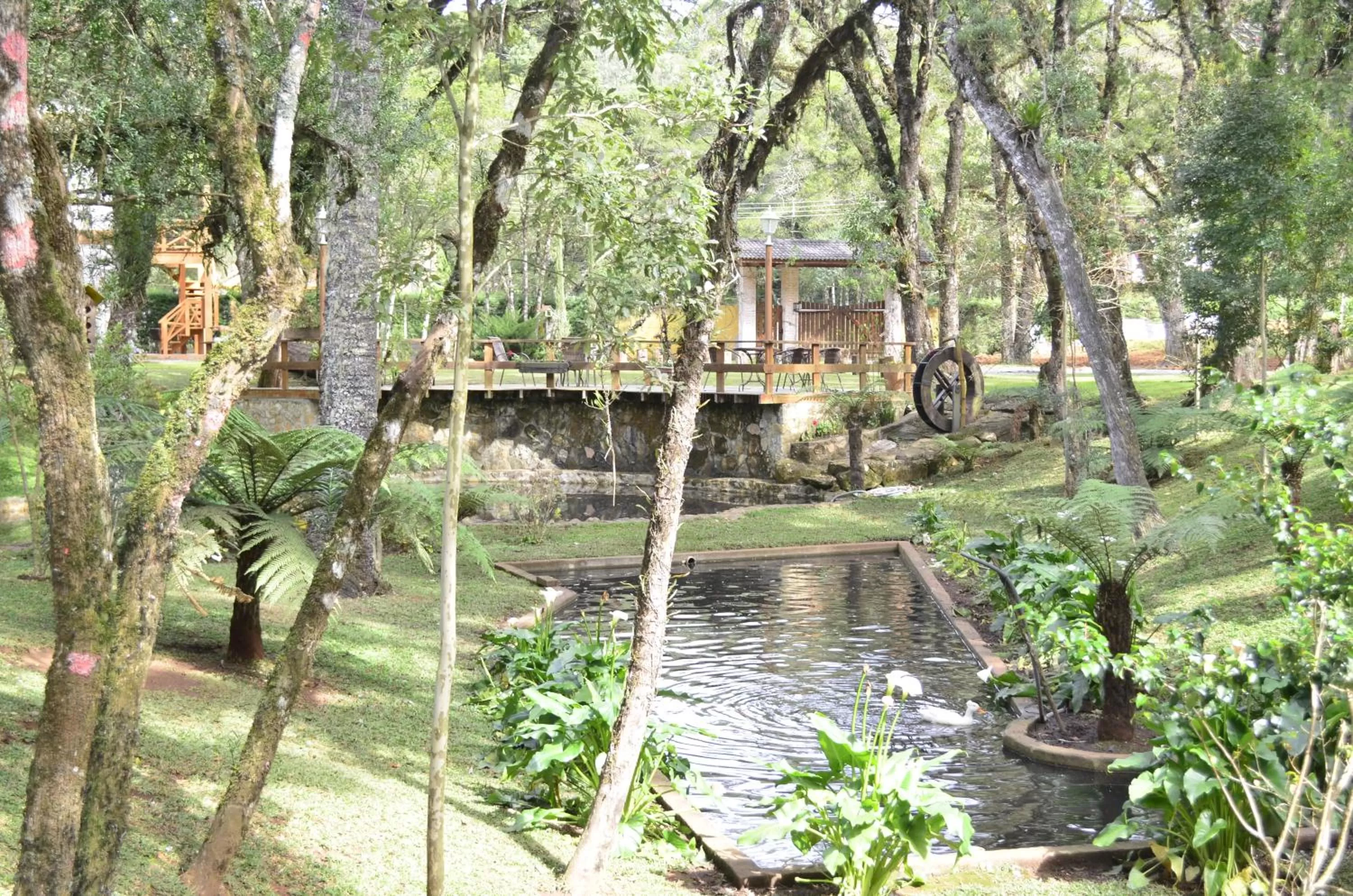 Garden in Pousada Toca Da Coruja