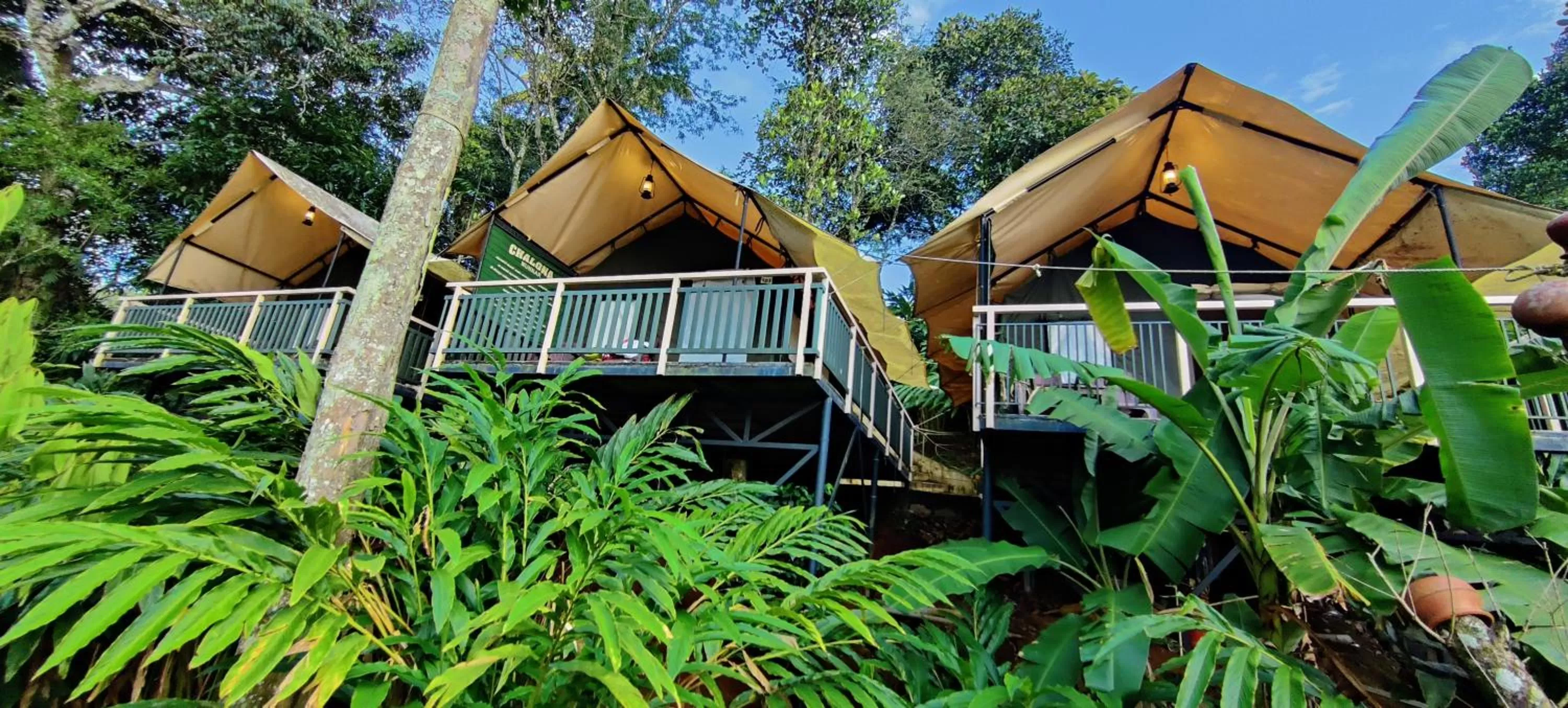 Property Building in Chalona Jungle Vibe