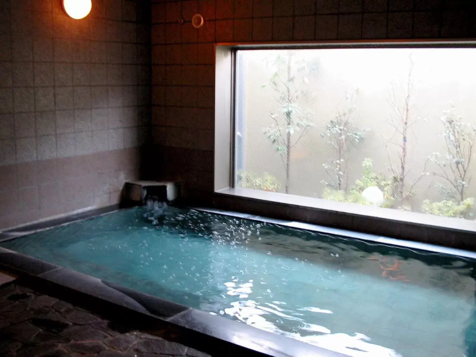 Public Bath, Swimming Pool in Hotel Route-Inn Ageo