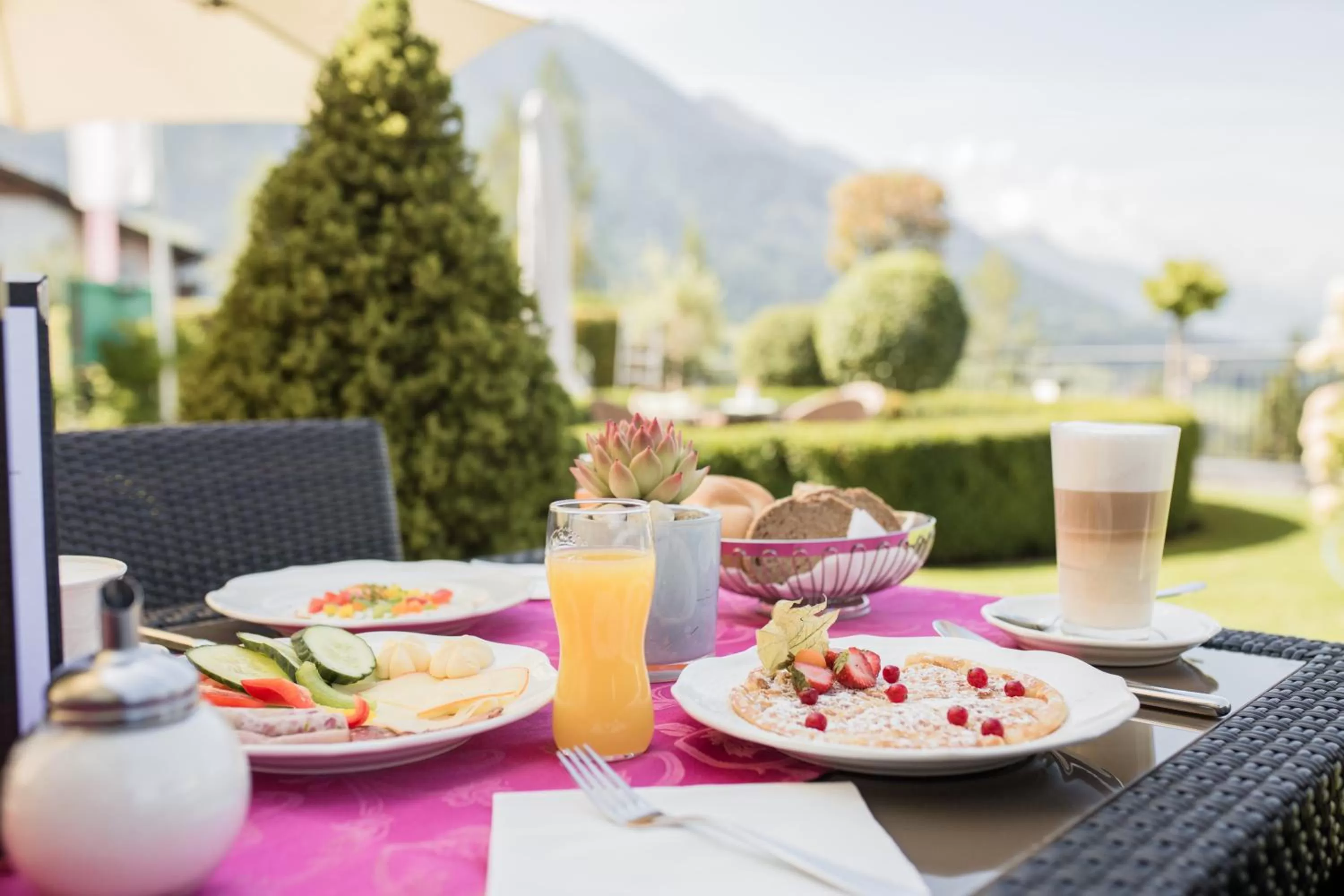 Balcony/Terrace in Hotel AlpenSchlössl