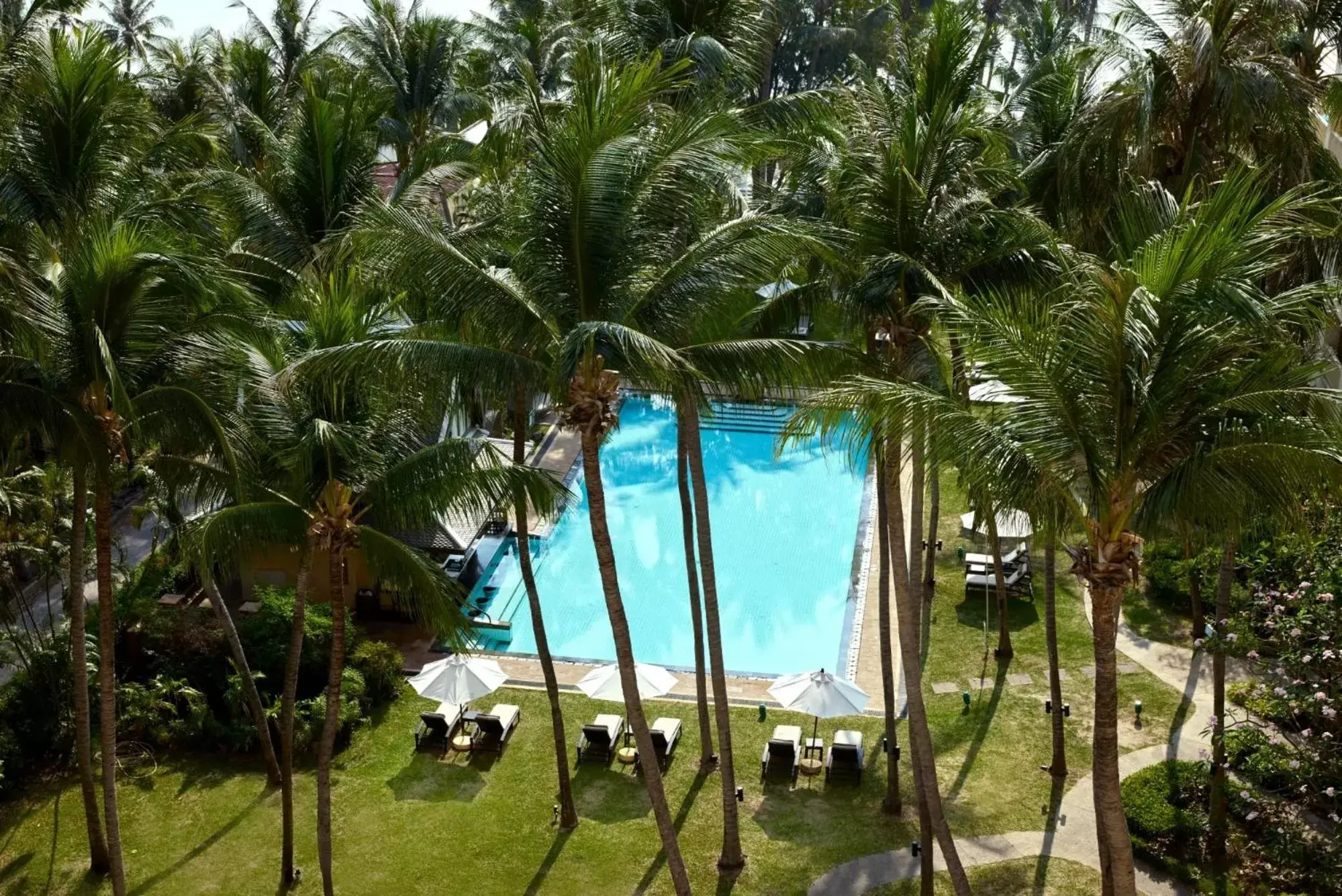 Swimming pool, Pool View in Dusit Thani Hua Hin - SHA Extra Plus