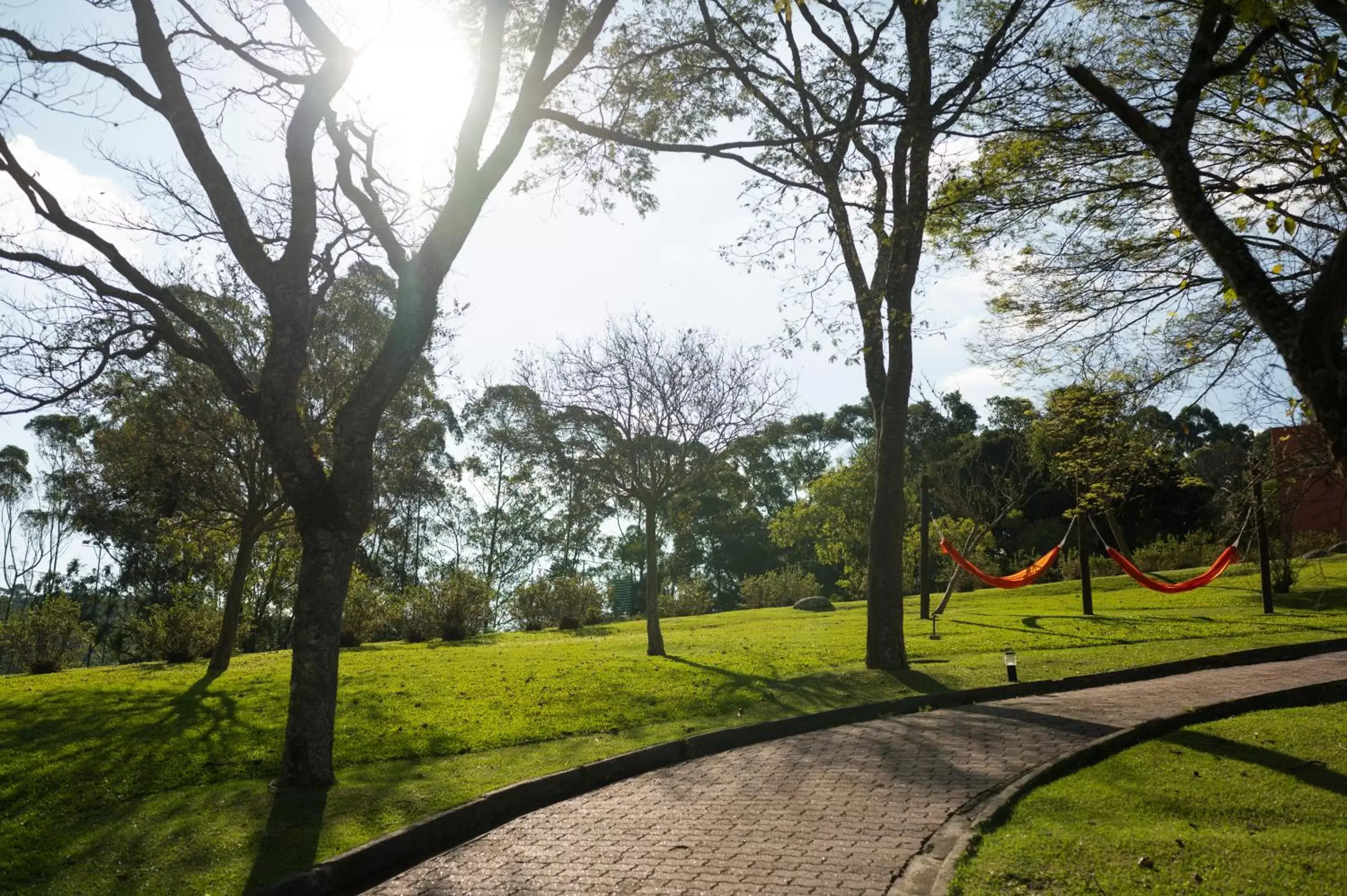 Natural landscape in Hotel Villa Rossa