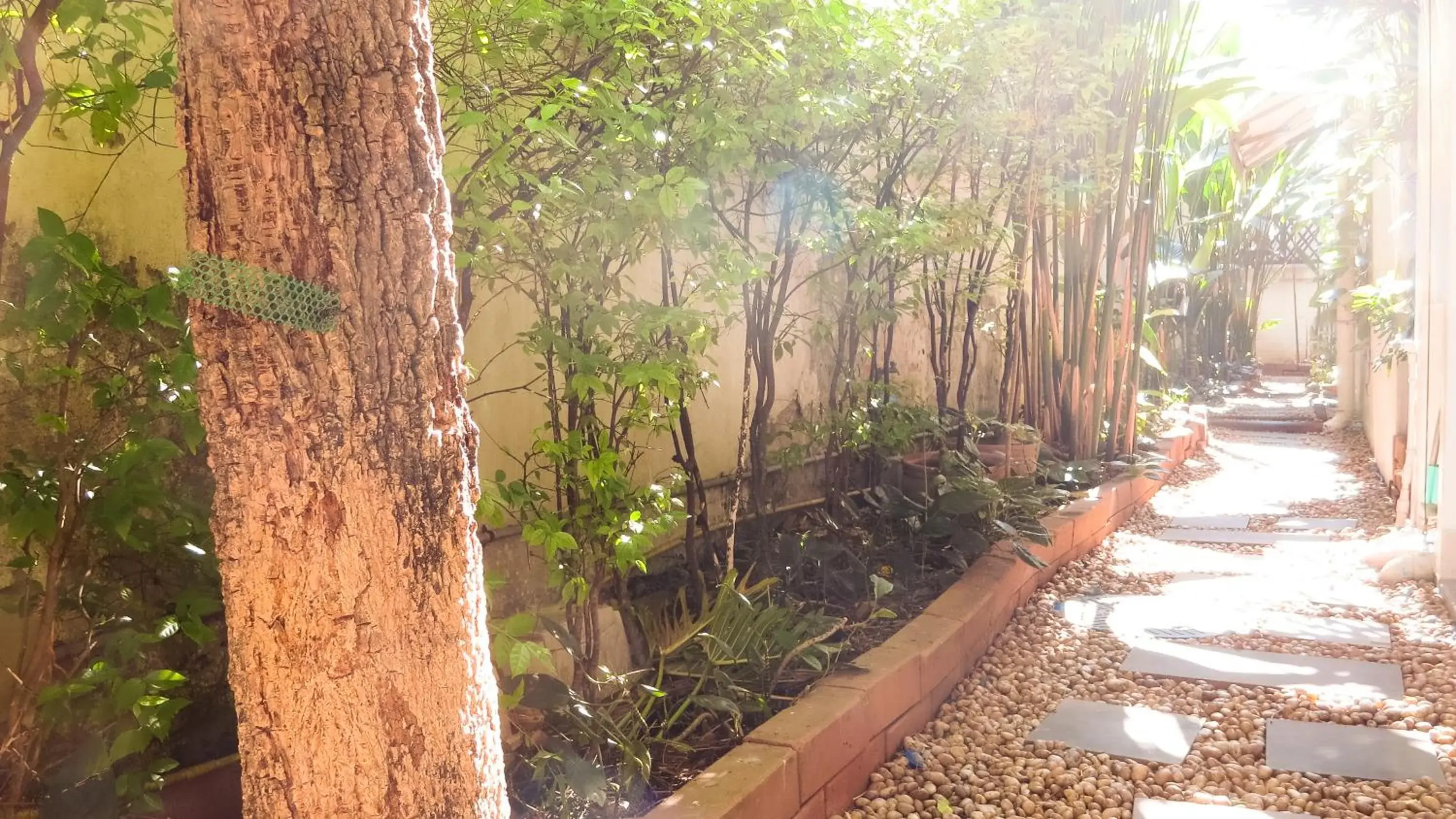 Facade/entrance in Baansilom Soi 3 Facade/entrance in Baansilom Soi 3