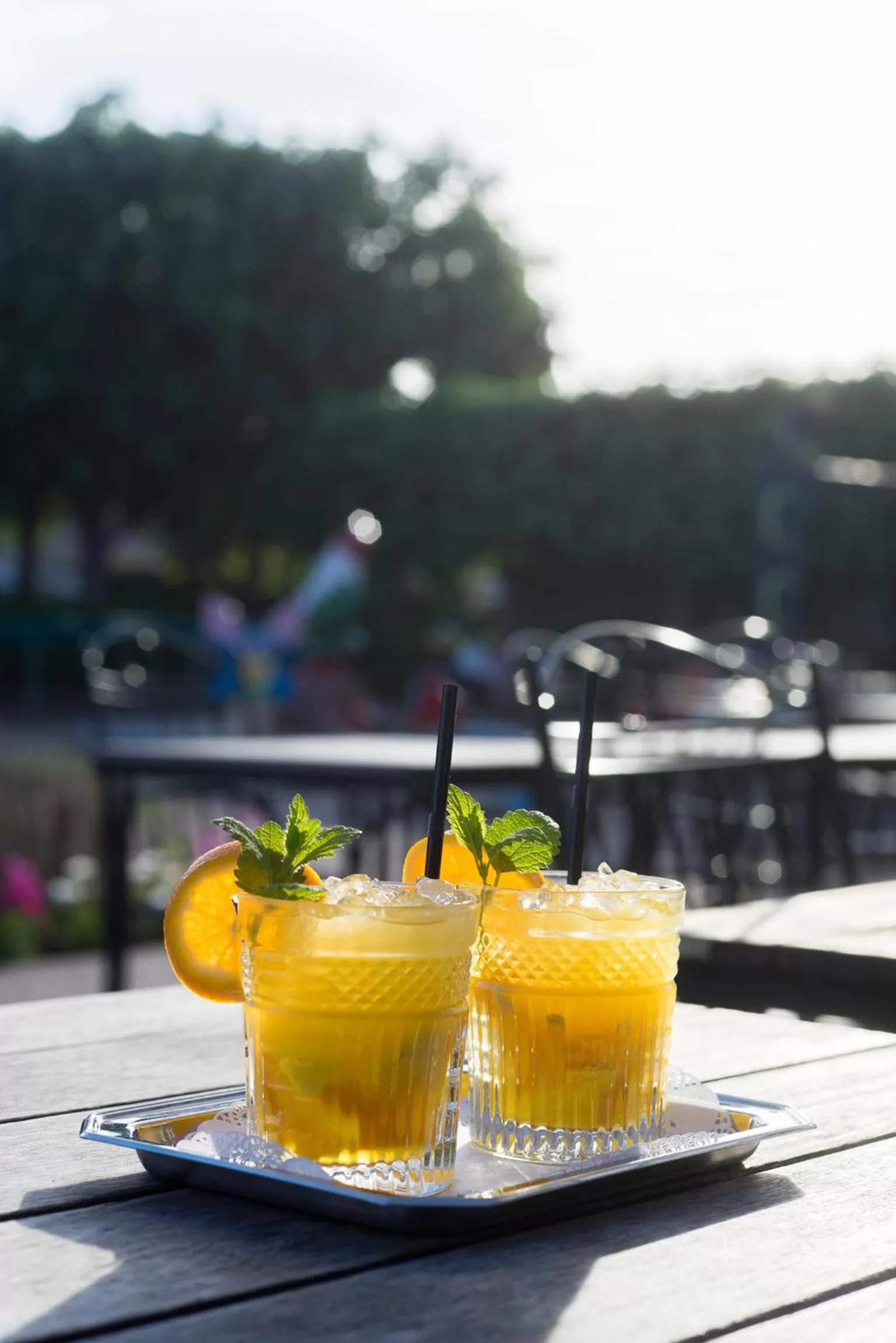 Restaurant/places to eat in De Lindenhoeve Boutique Hotel