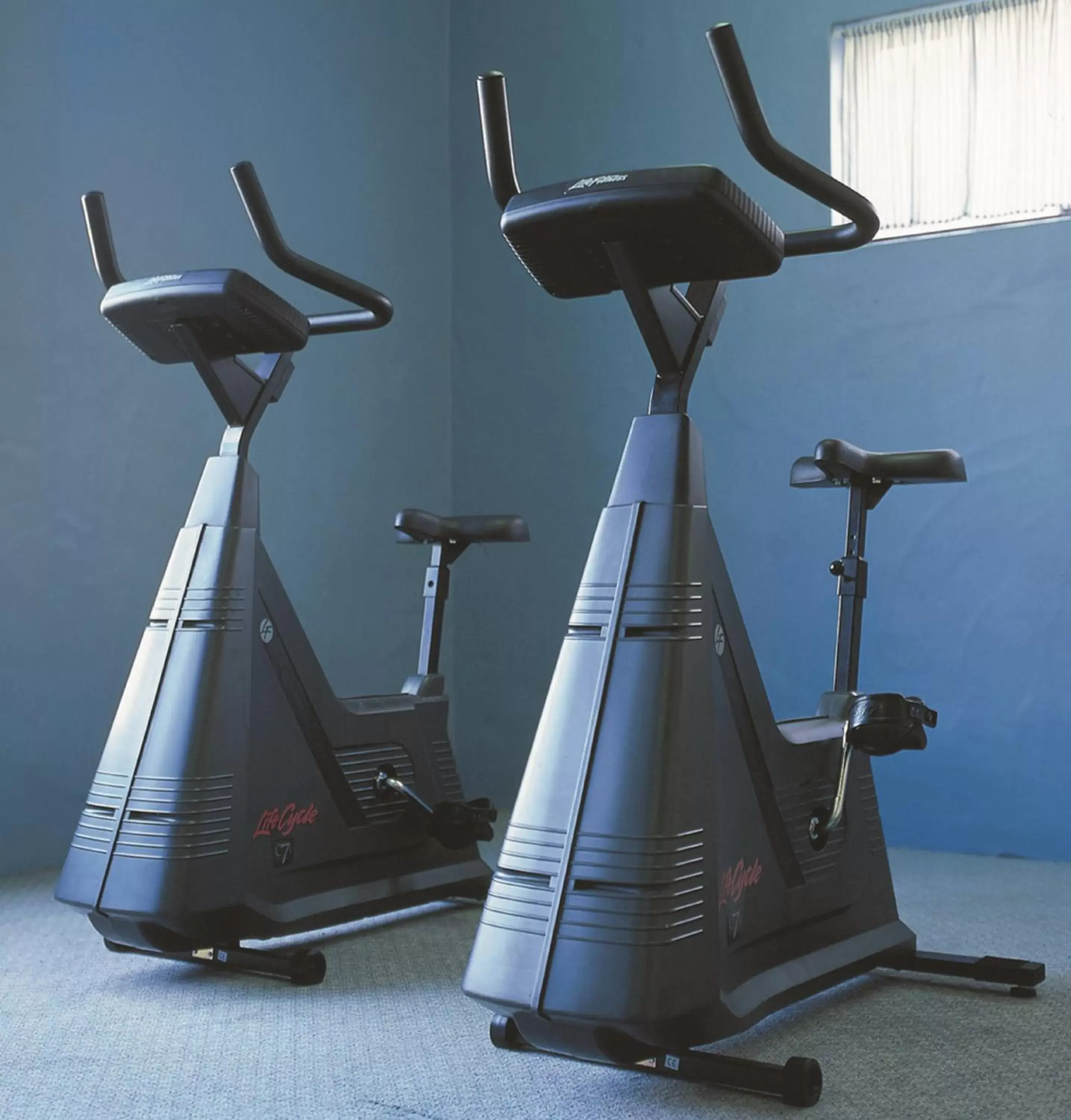 Fitness centre/facilities, Fitness Center/Facilities in Quality Hotel Wangaratta Gateway