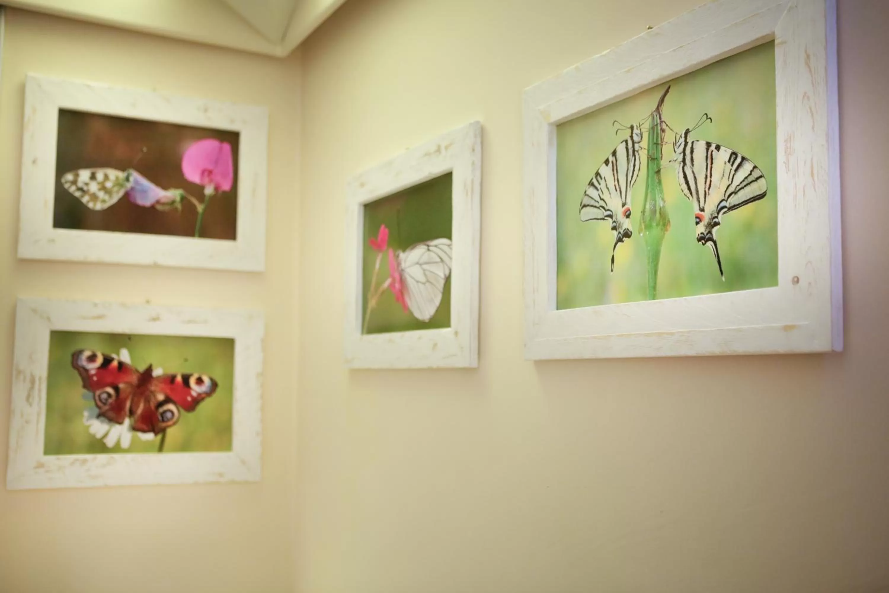 Decorative detail in Art Hotel Museo