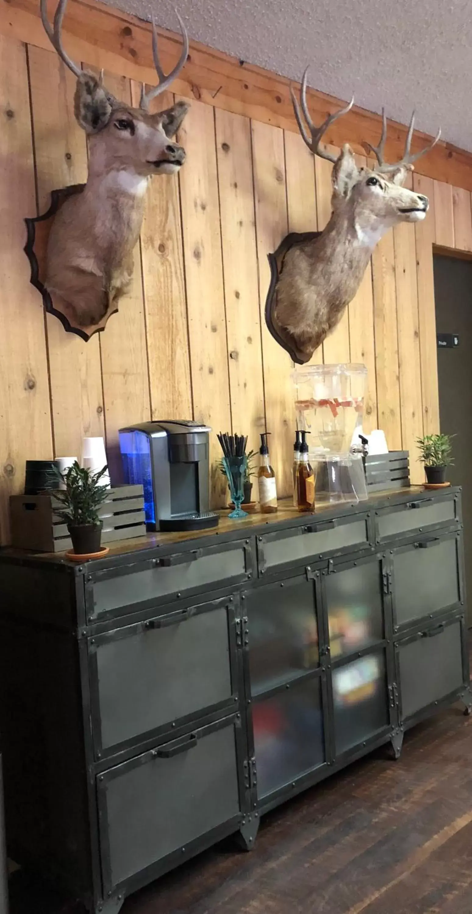 Coffee/tea facilities in Timber Ridge Lodge Ouray
