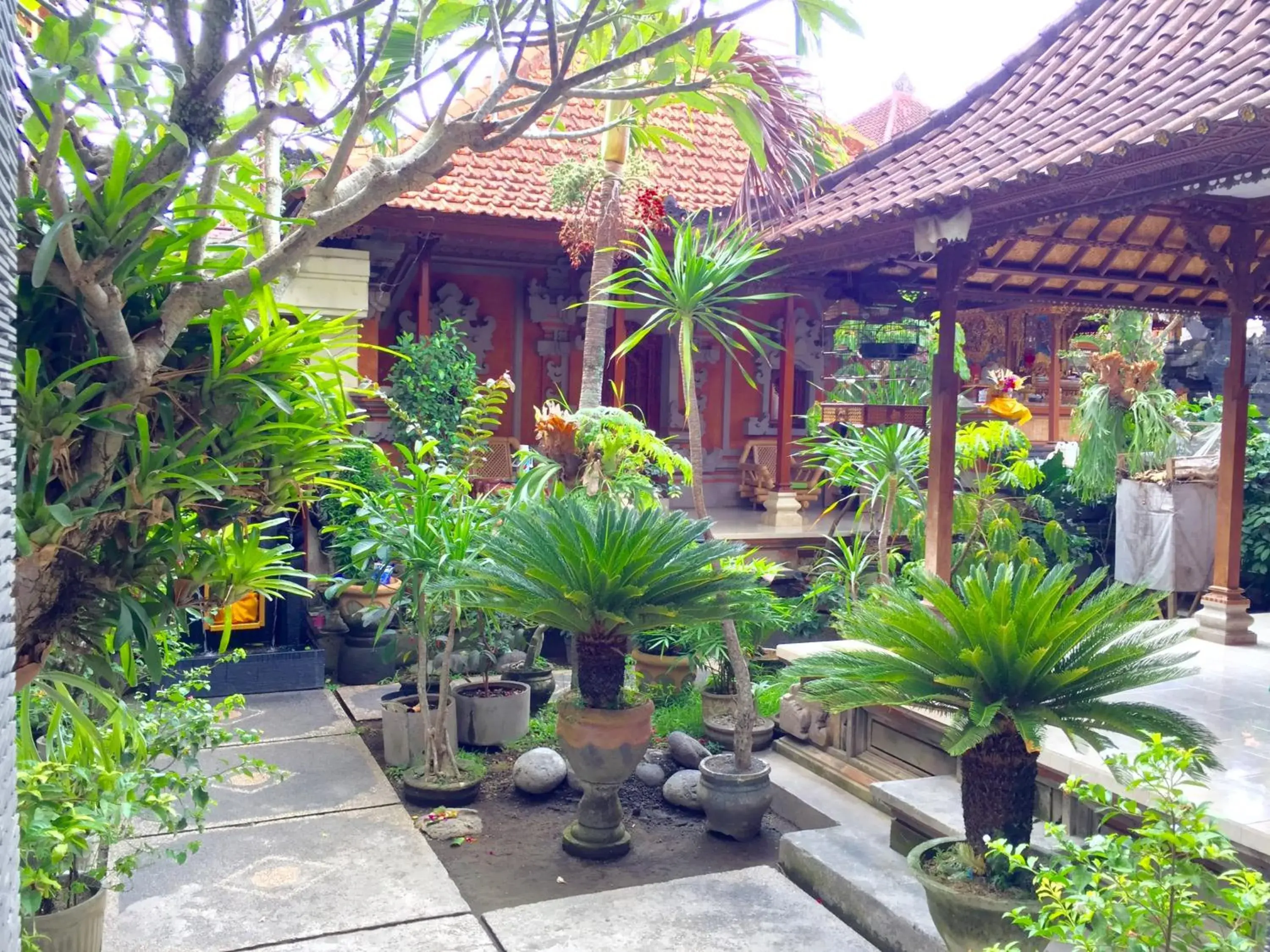 Garden, Patio/Outdoor Area in Aurora House Ubud