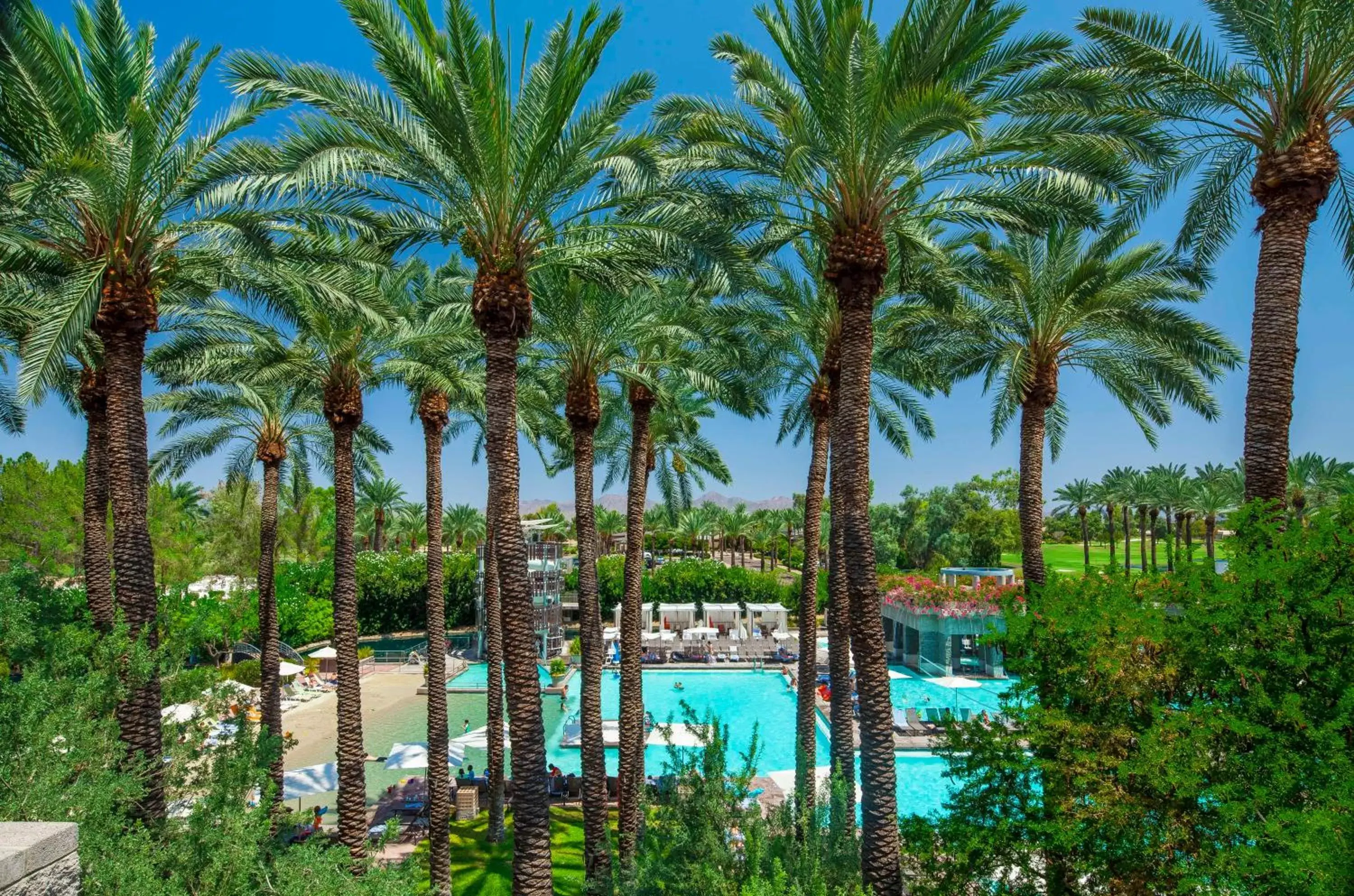 View (from property/room), Pool View in Hyatt Regency Scottsdale Resort and Spa