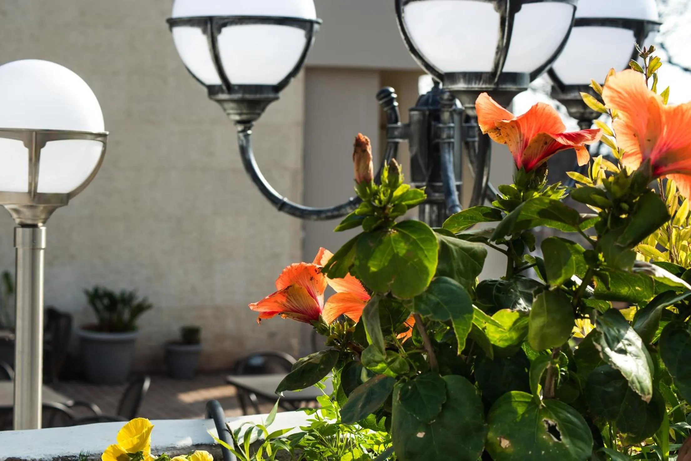 Property building in Myrto Hotel