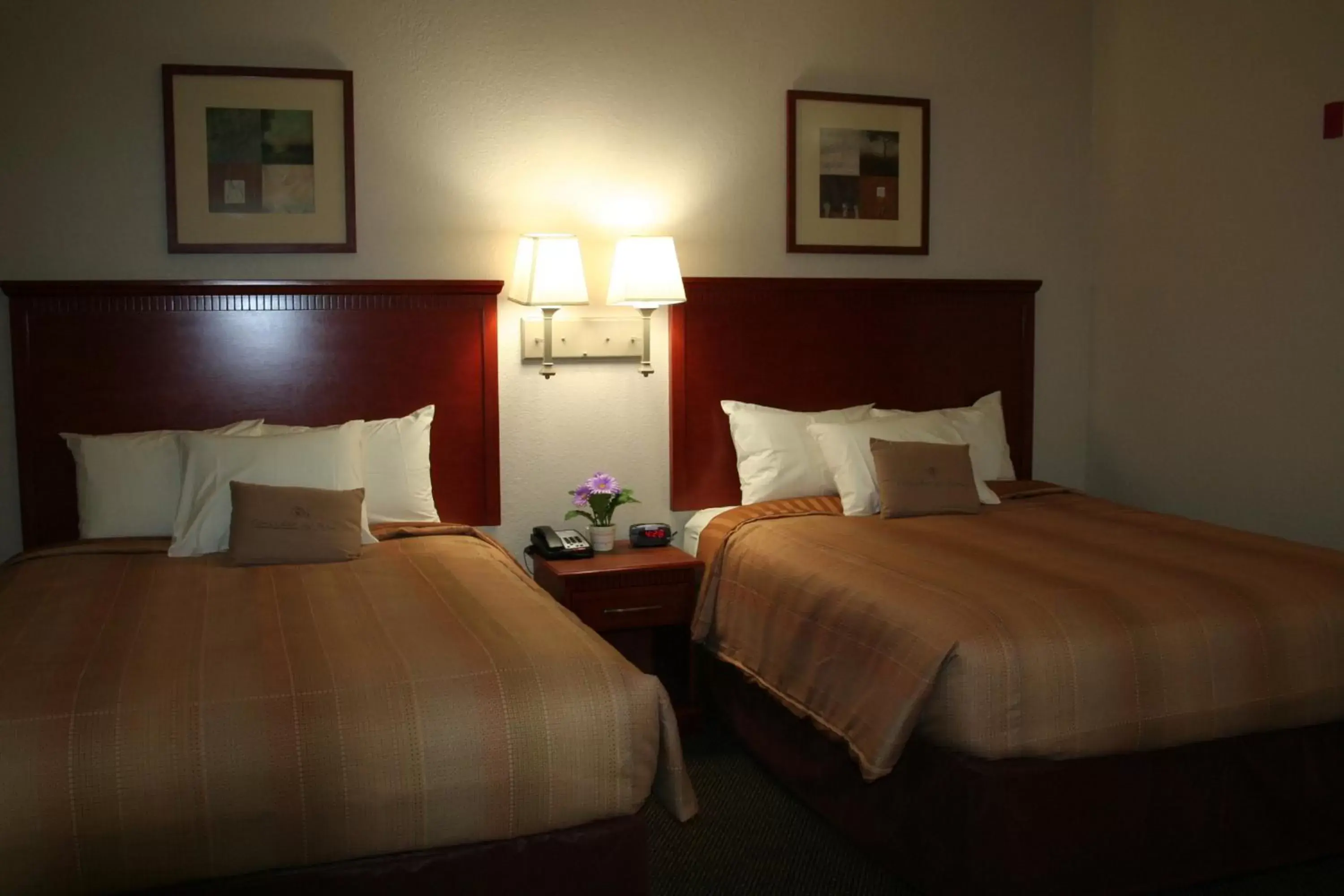 Photo of the whole room, Bed in Candlewood Suites Avondale-New Orleans, an IHG Hotel