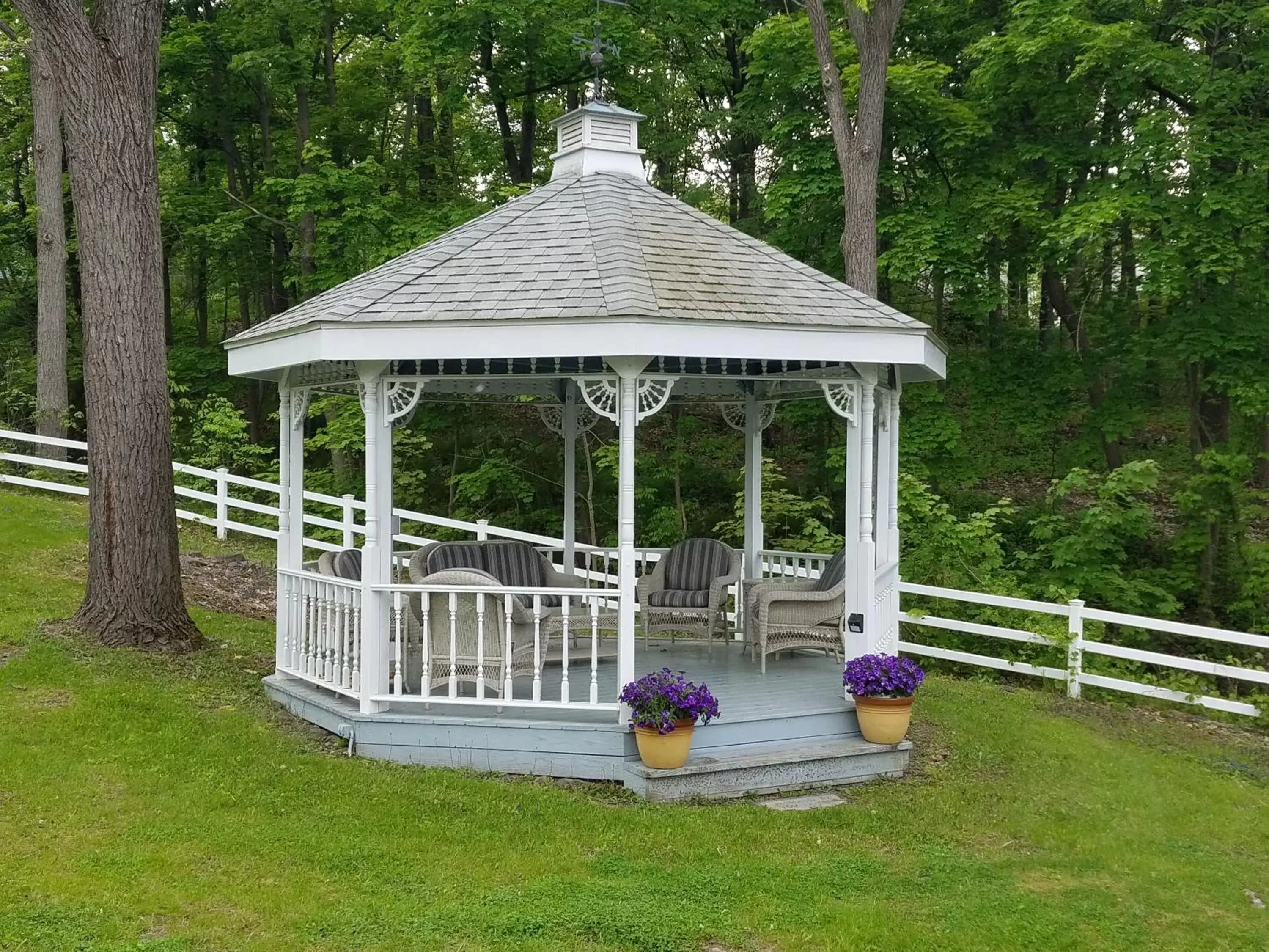 Garden in Hudson Manor Bed & Breakfast