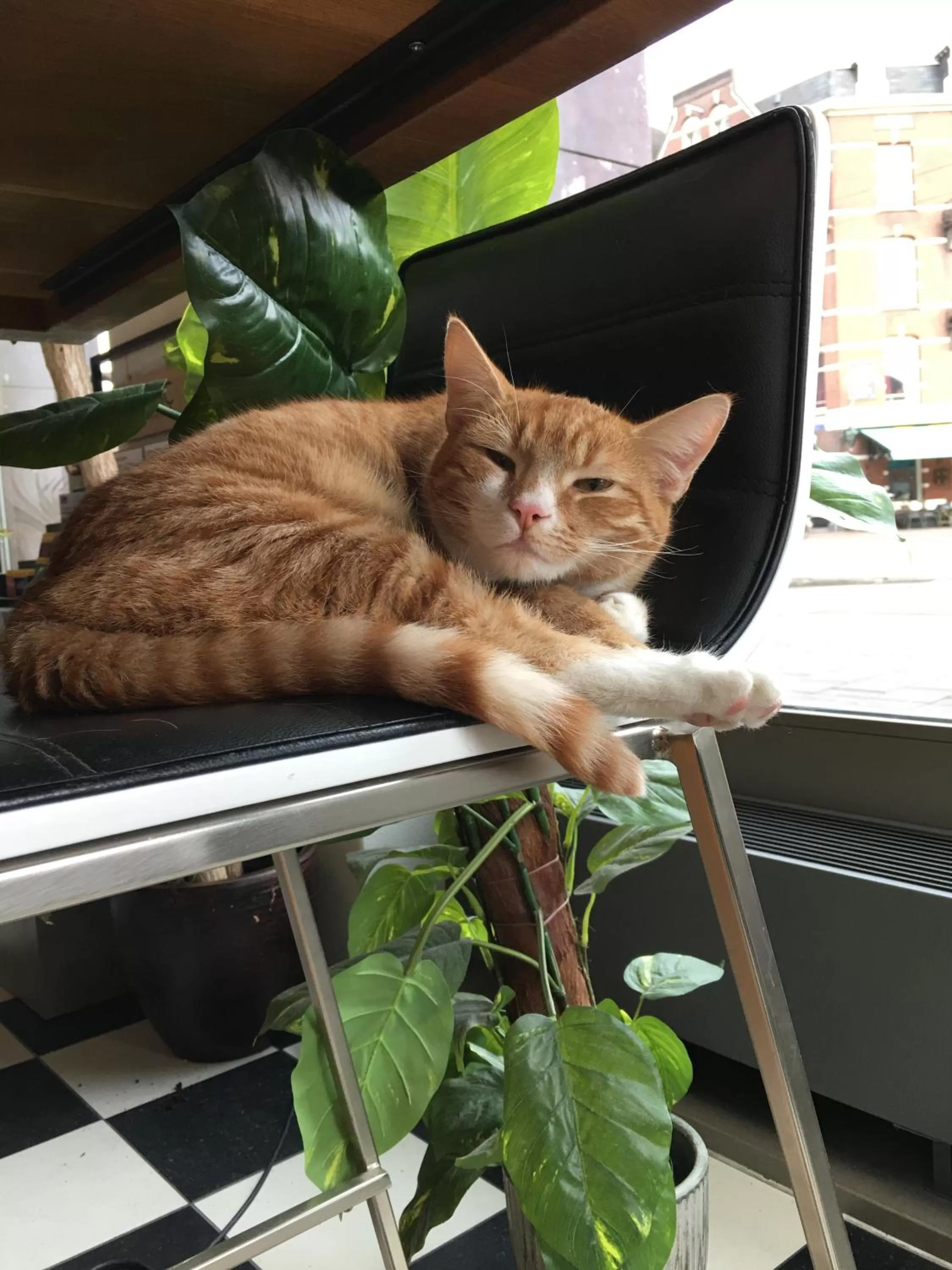 On site in Hotel Mosaic City Centre