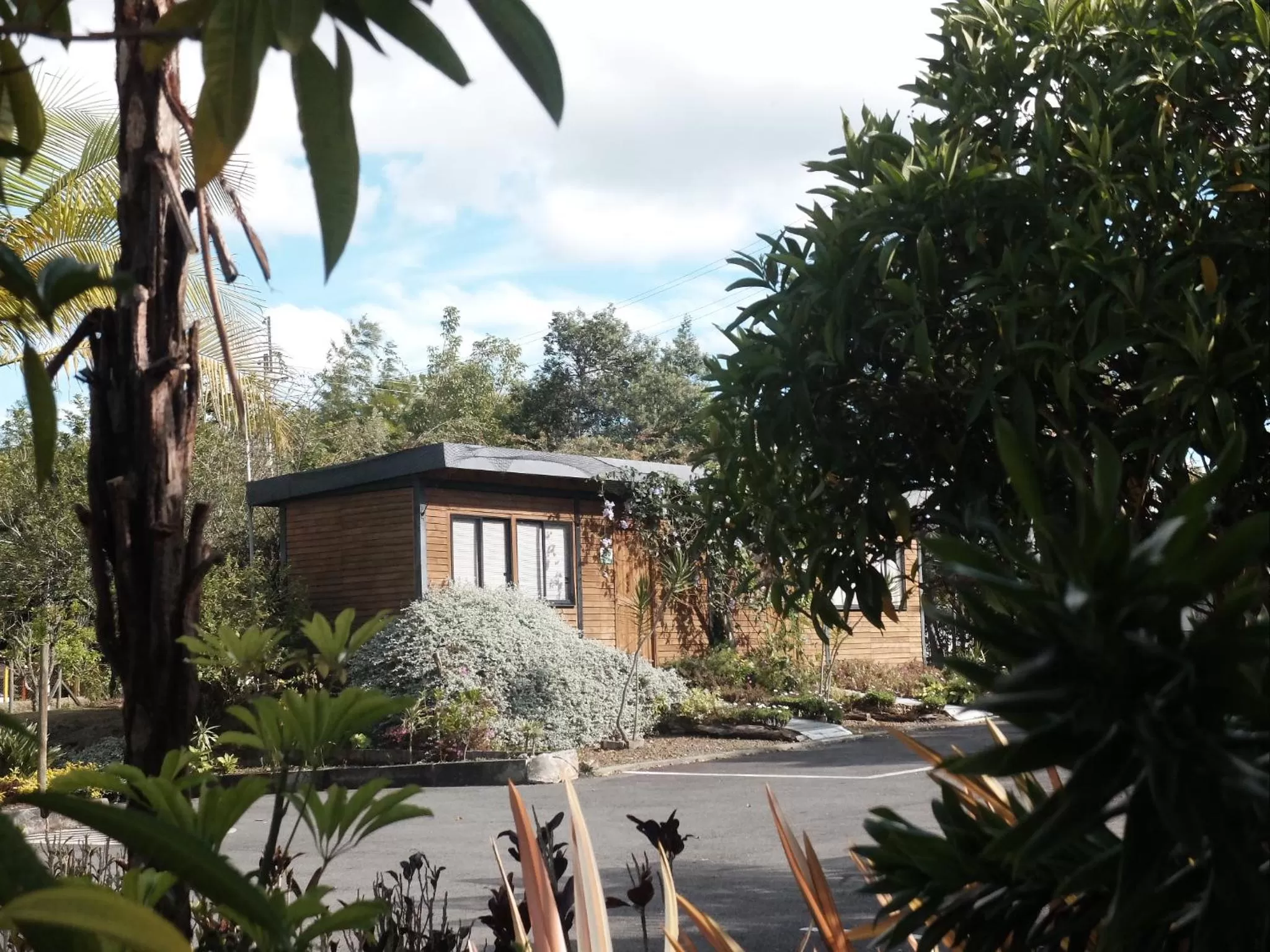 Garden view, Property Building in ALTO LODGING Centro de Entrenamiento Deportivo y Negocios, a 2 pasos del Aeropuerto JMC, Transporte Incluido