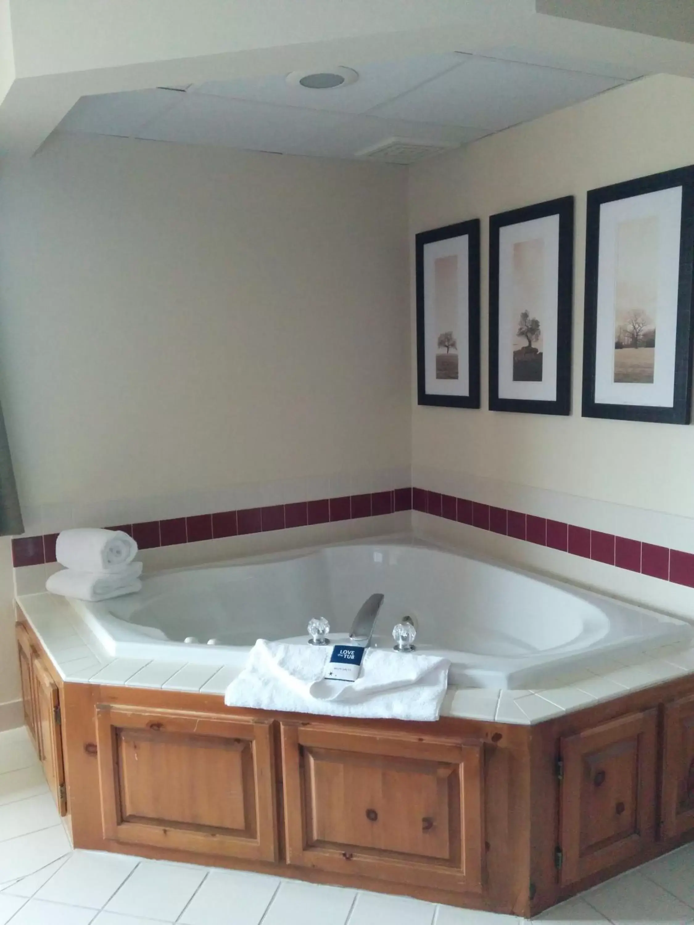 Hot Tub, Bathroom in AmericInn by Wyndham Princeton MN