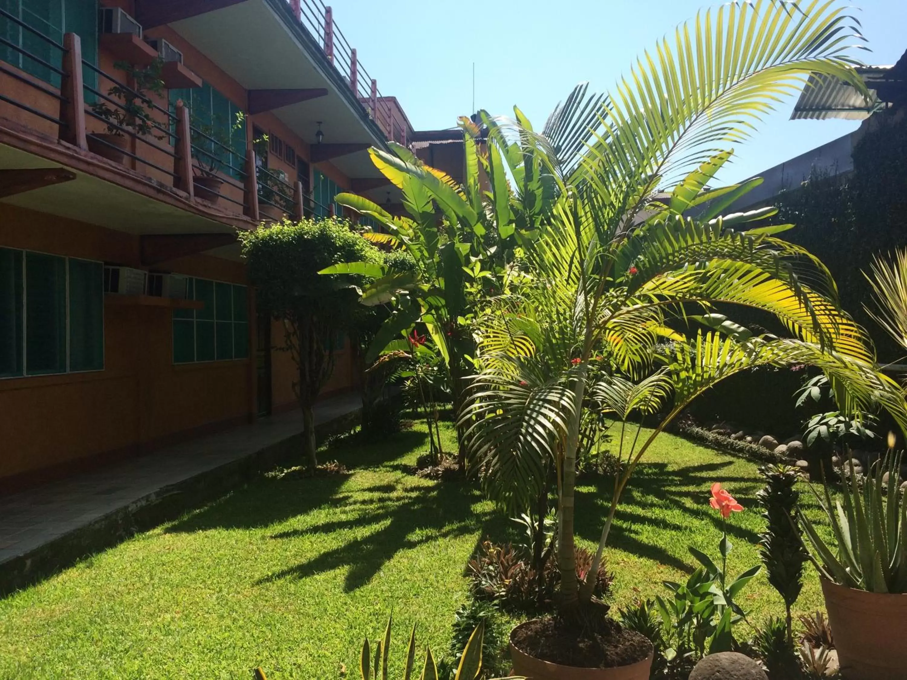 Garden view, Garden in Hotel Fenix