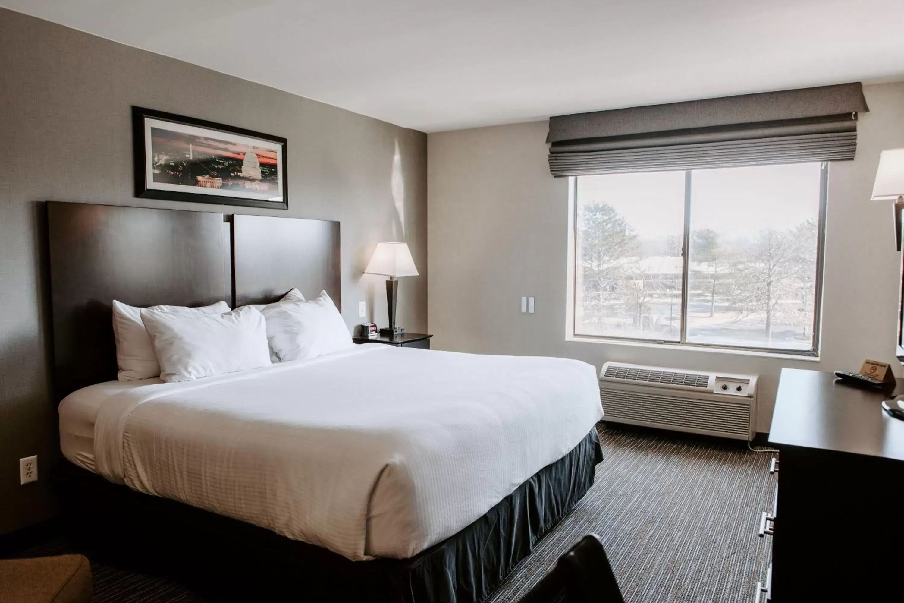 Bedroom, Bed in Wingate by Wyndham - Dulles International