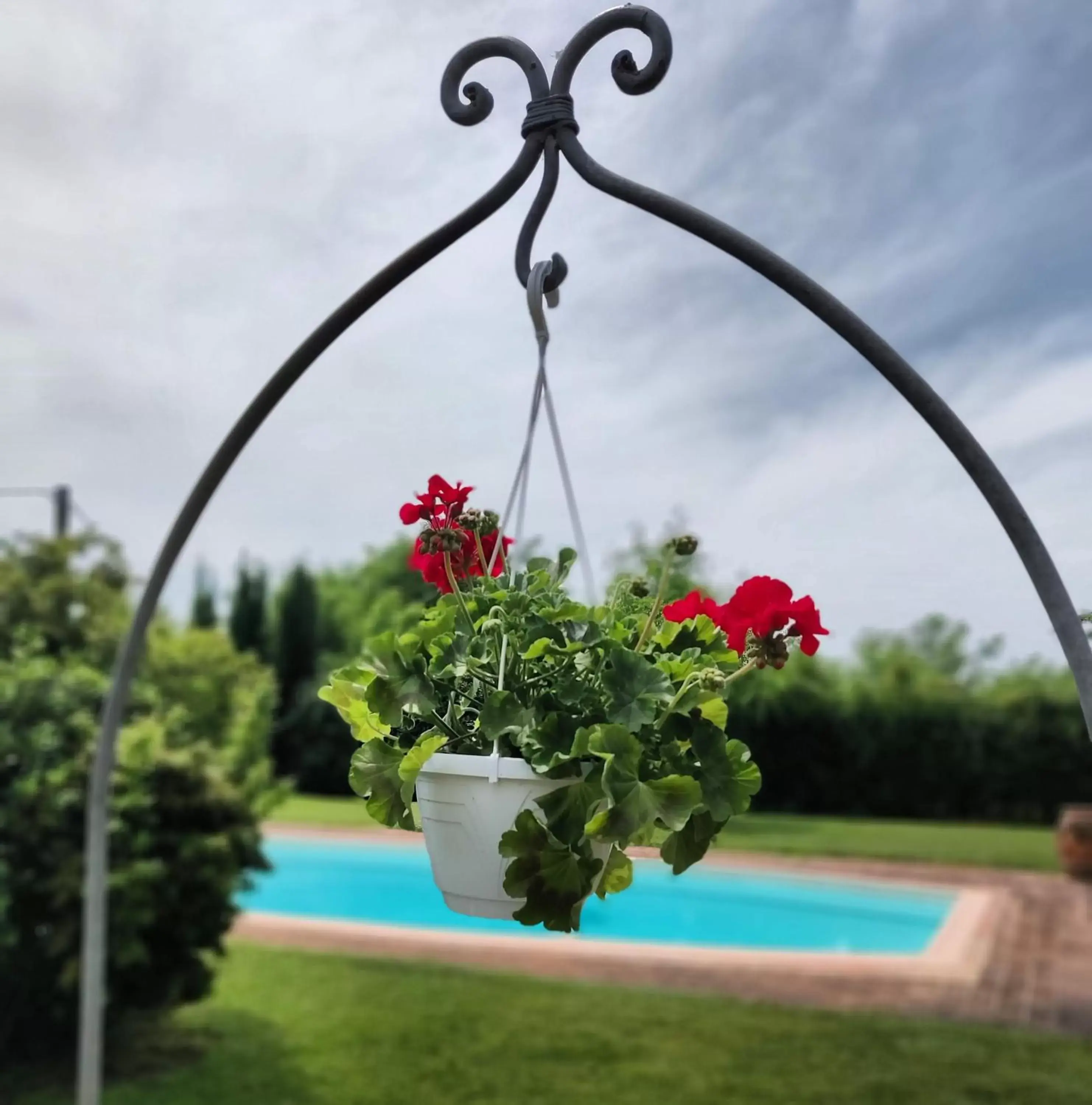 Garden, Swimming Pool in B&B Il Casolare Di Bonci