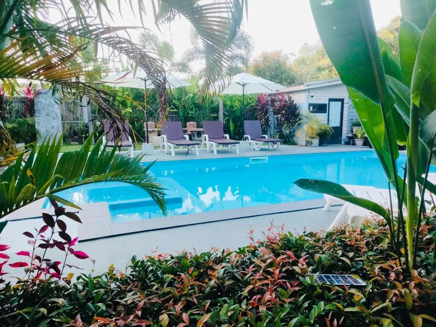 Pool view, Swimming Pool in Andawa Lanta Resort