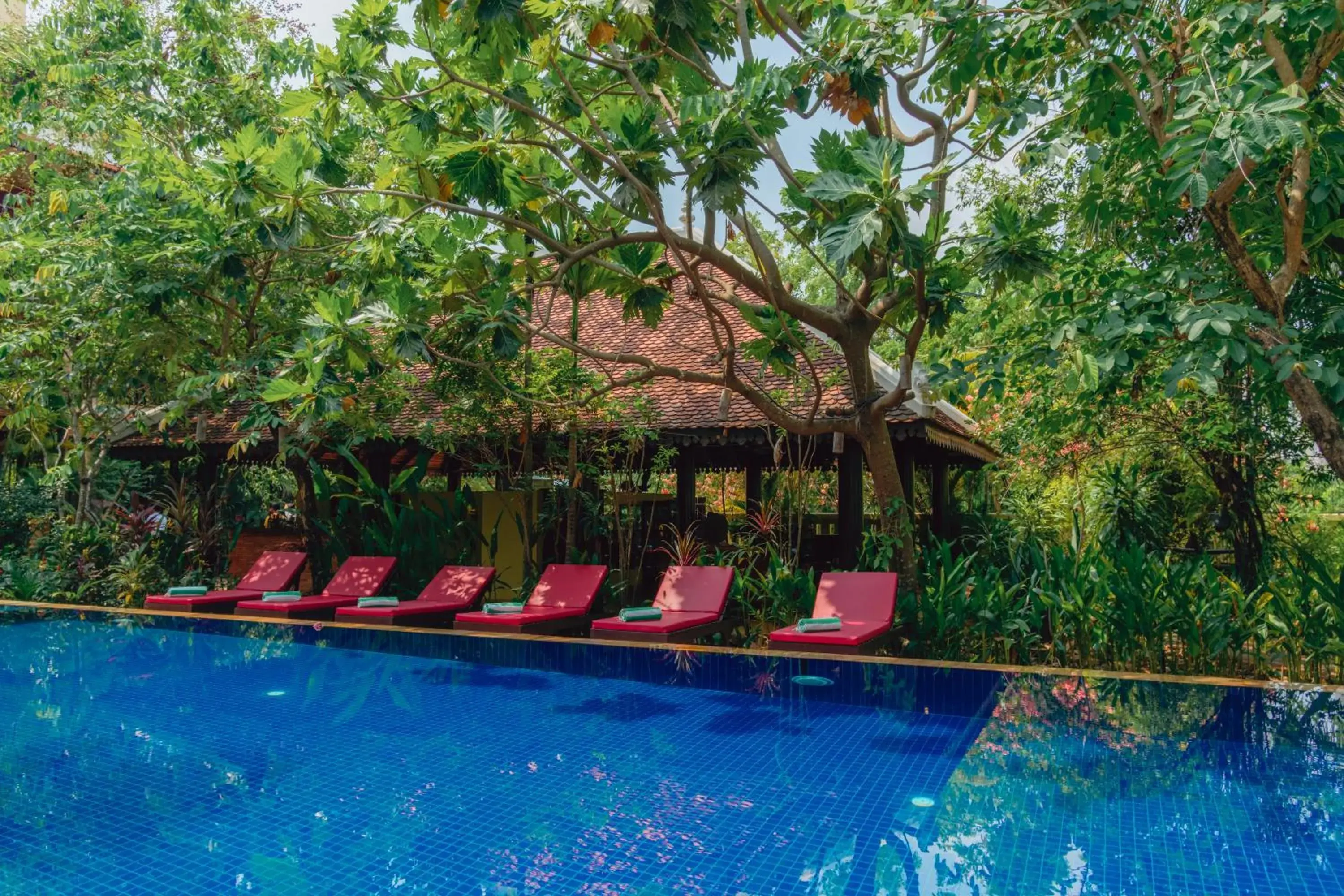 Garden, Swimming Pool in Pandora Suite D'Angkor