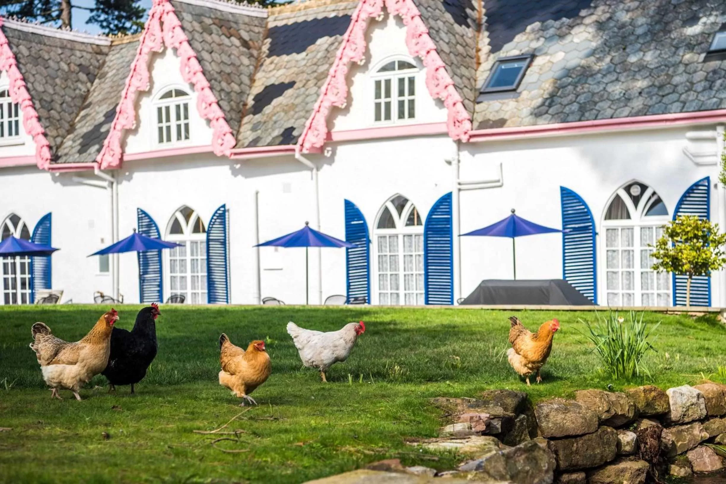 Property Building in The Woodlands Hotel