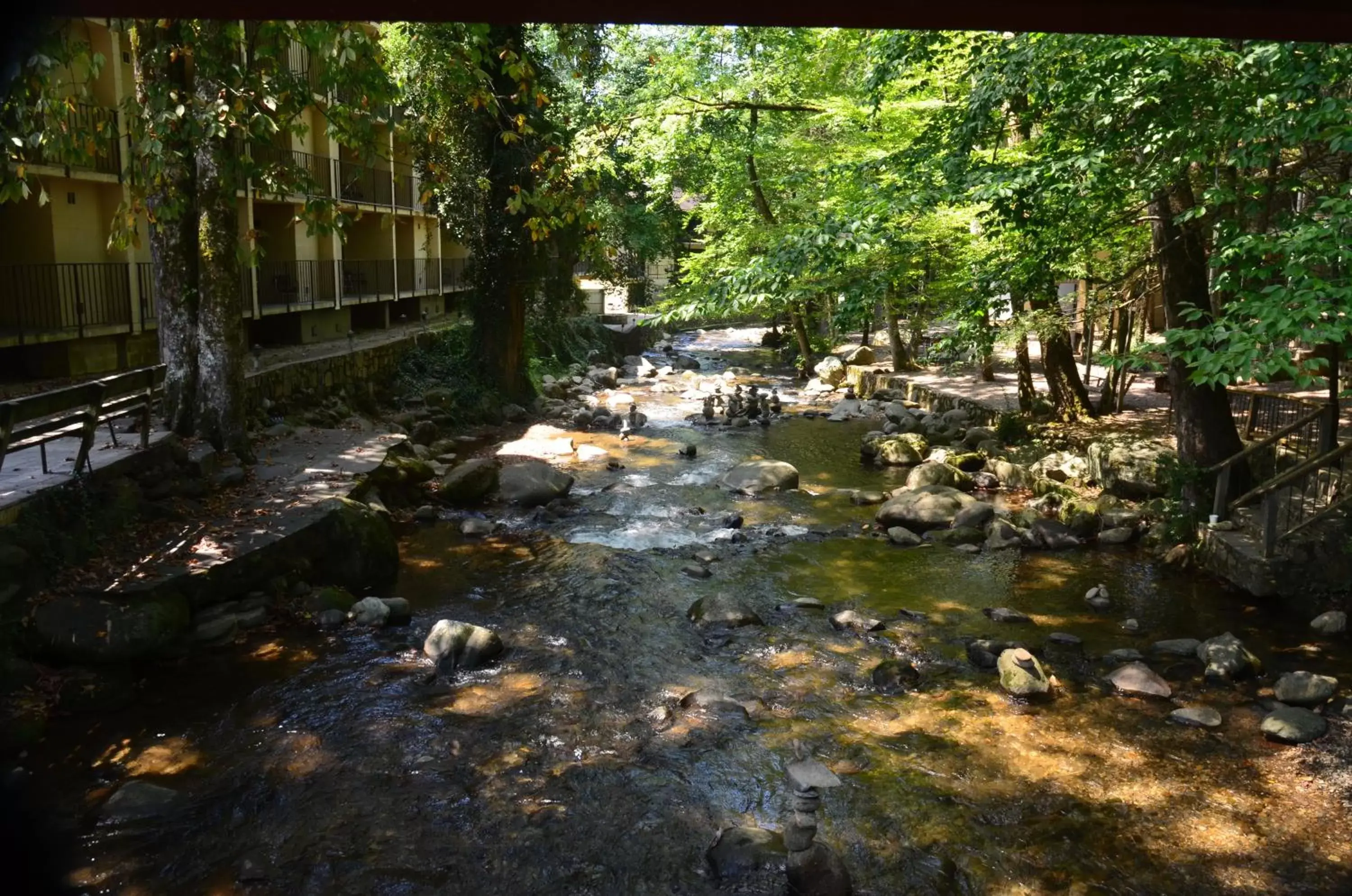 River view in Brookside Lodge