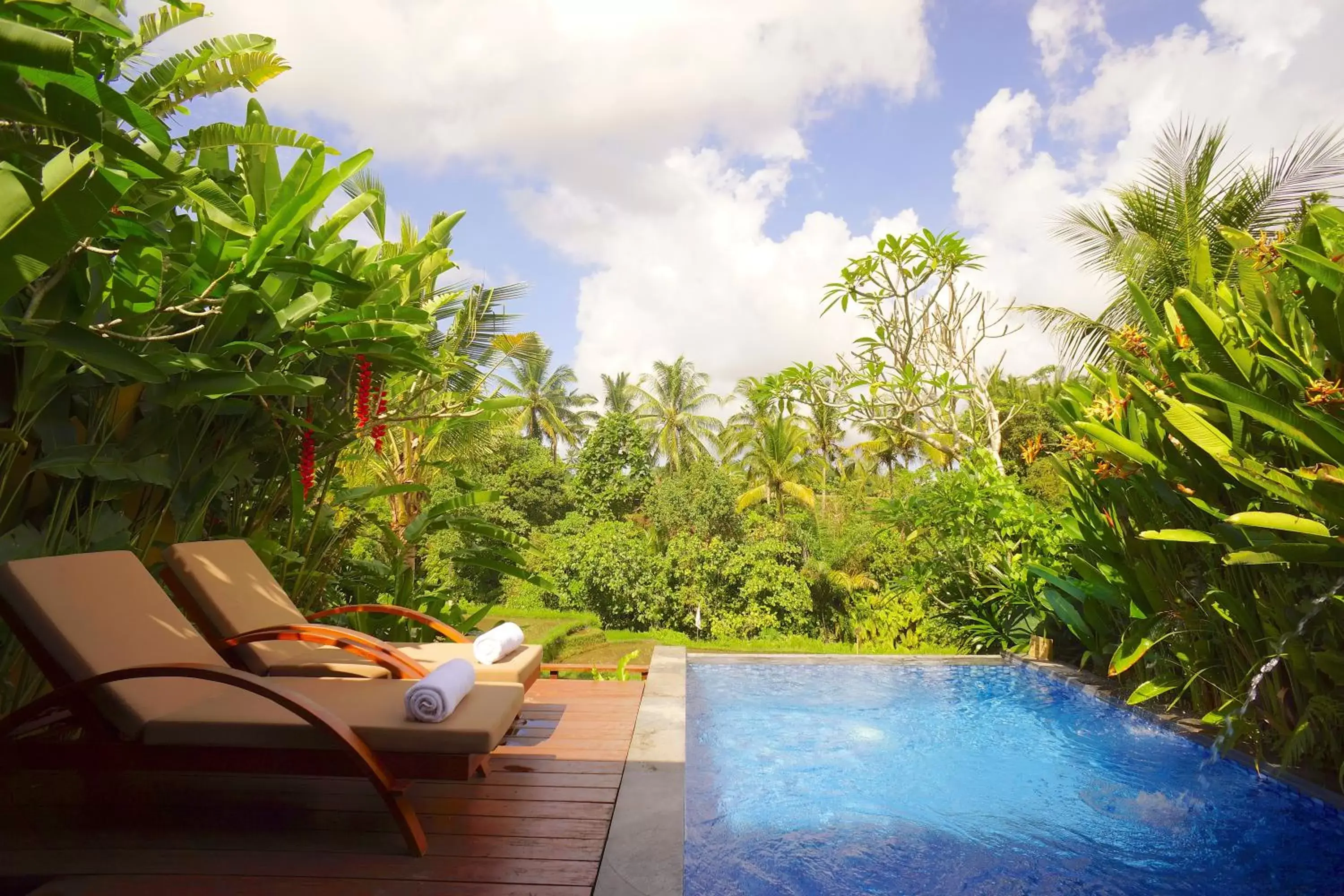 Swimming Pool in Ubud Green Resort Villas Powered by Archipelago