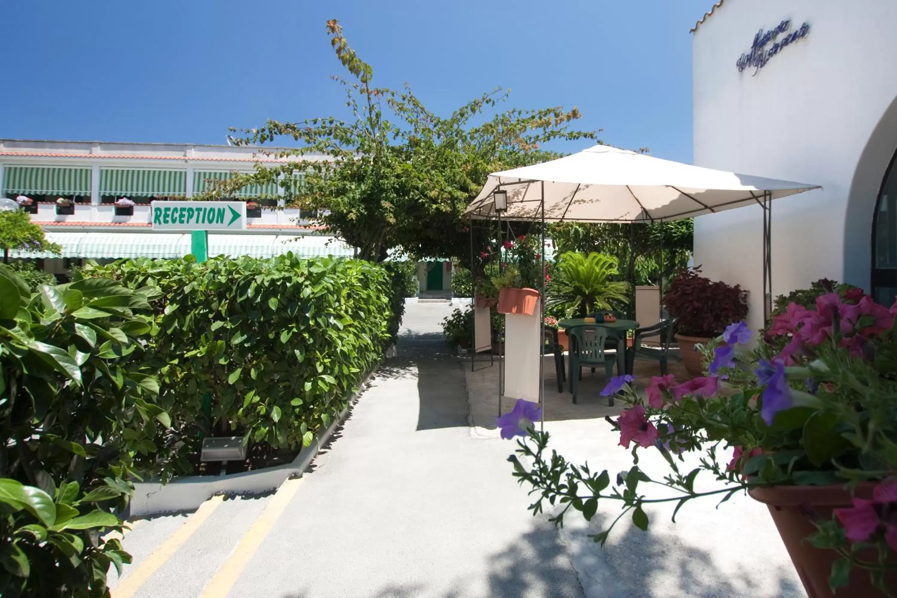 Balcony/Terrace in Hotel Residence Nemo