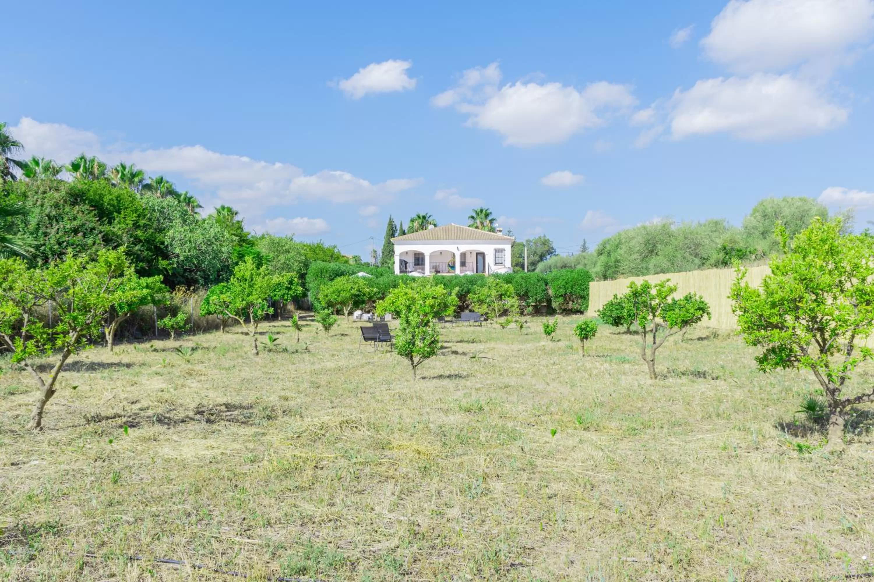 Garden in Casa de Ámbar, Bed&Breakfast