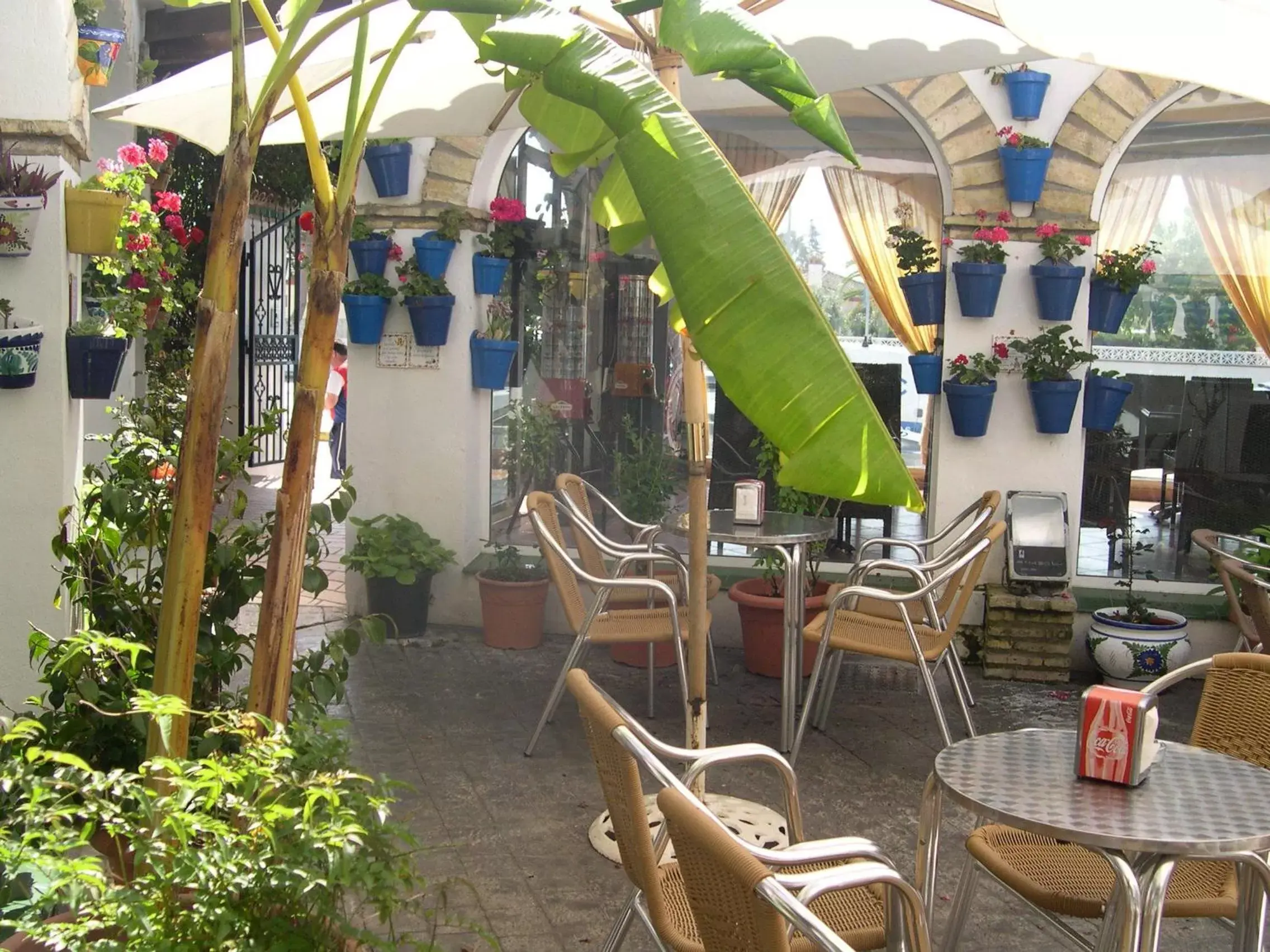 Patio in Hotel Cortijo Los Gallos