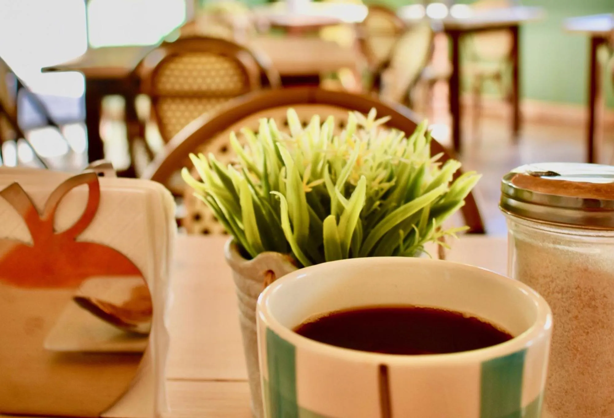 Restaurant/places to eat in Santa Maria del Cabo