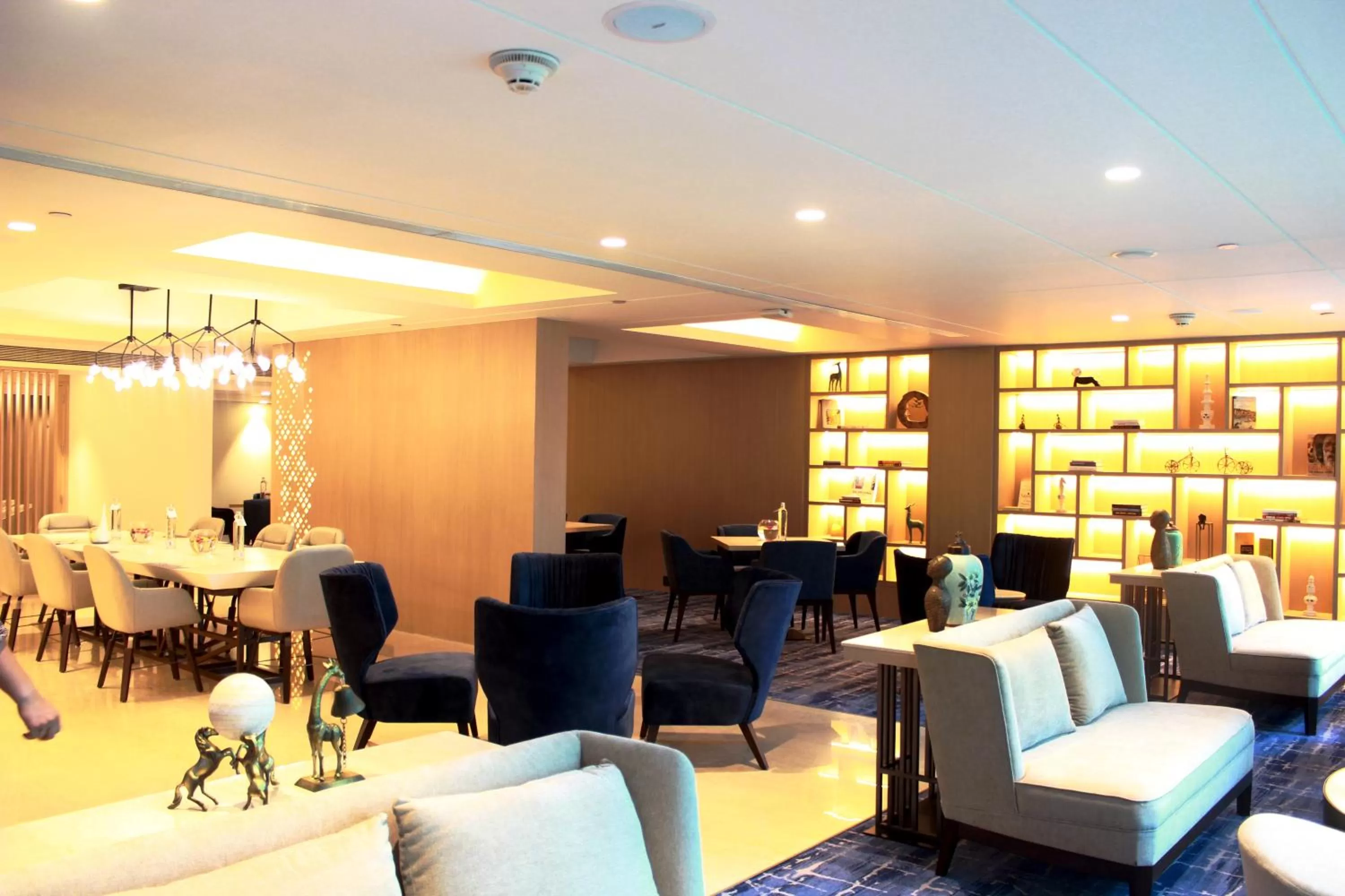 Food and drinks in Novotel Ahmedabad