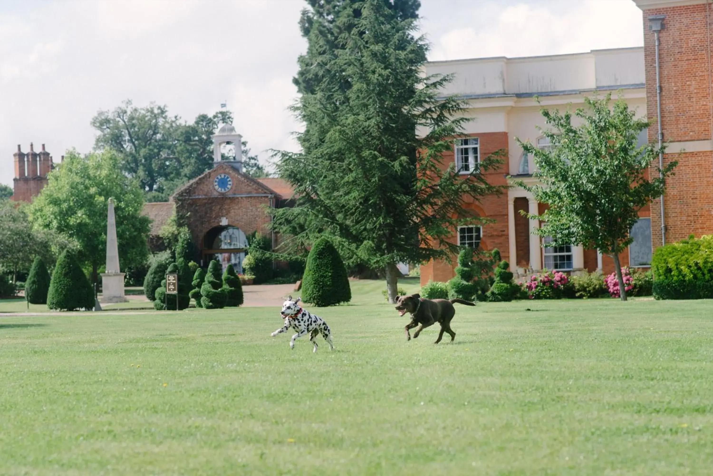 Property building, Other Animals in Four Seasons Hotel Hampshire