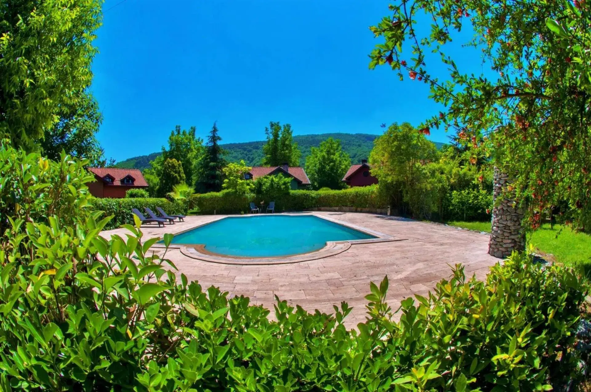 Summer, Swimming Pool in Villa Kirkpinar Sapanca